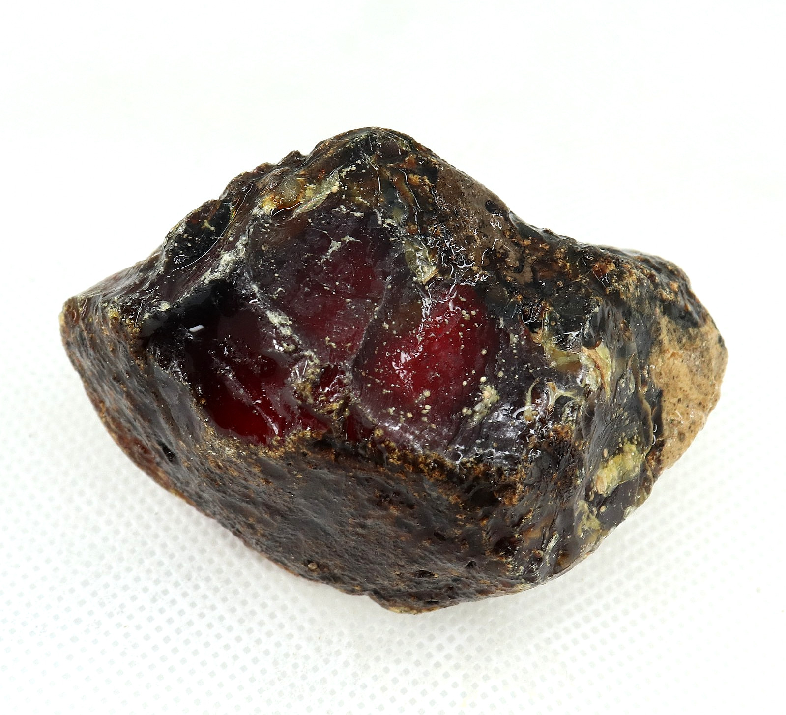 Natural Honey Baltic Amber Untreated Specimen Certified Rough Gemstone 233 Ct.