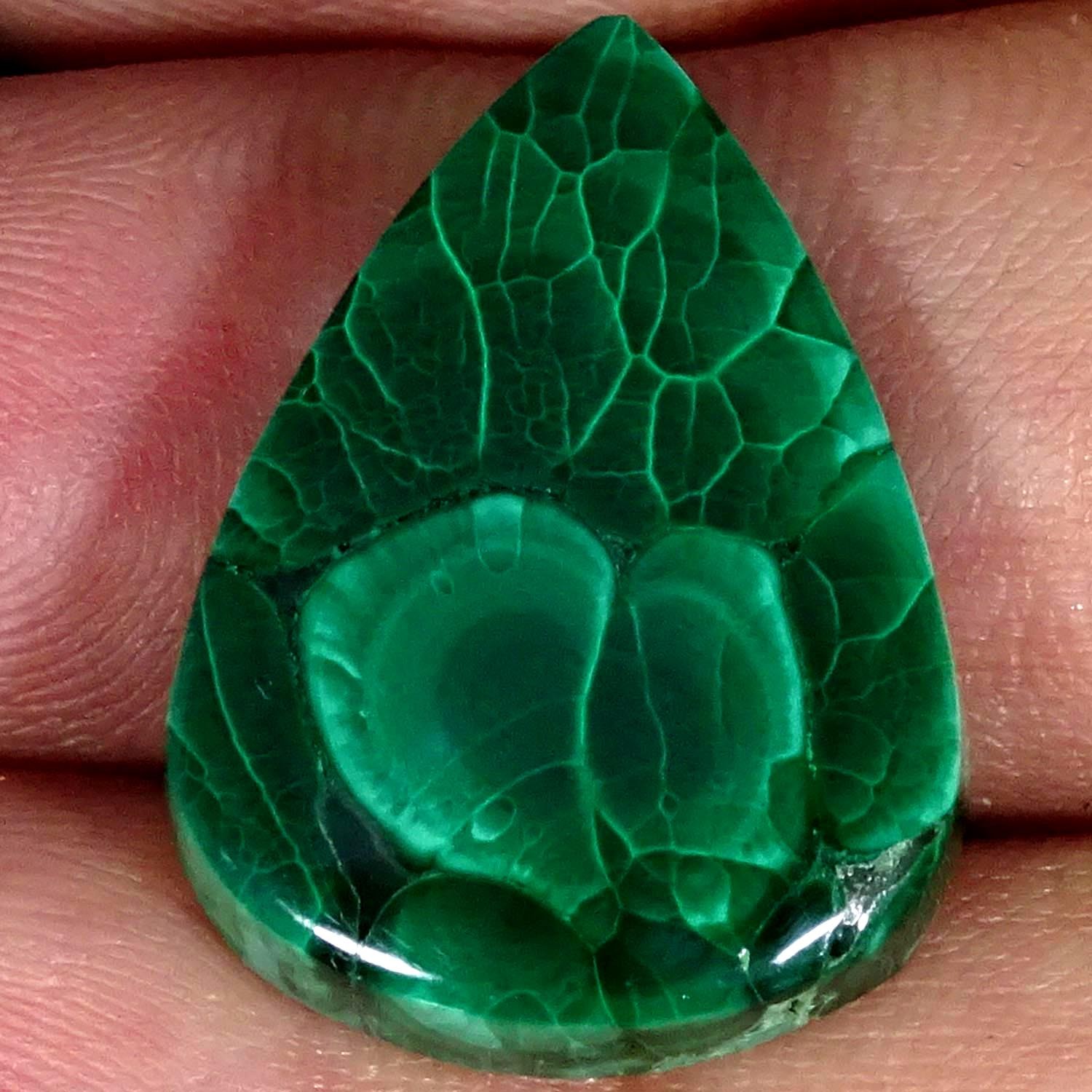 23.10Cts RARE Natural Malachite Pear Cabochon Gemstone 17X23X4MM