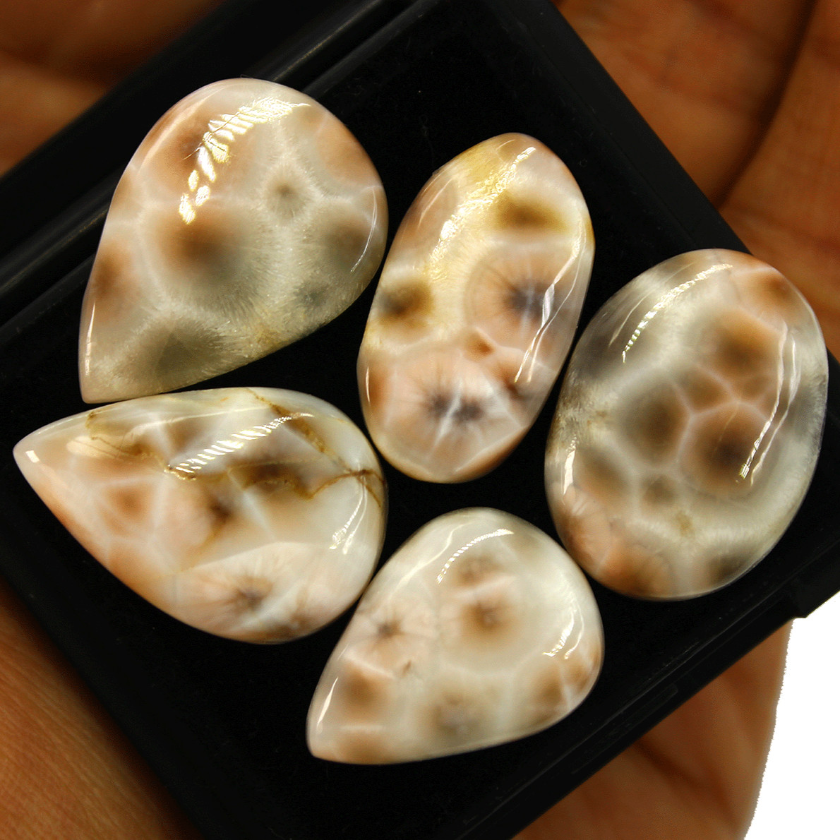 5 Pcs Natural Thomsonite AAA Quality Untreated 22mm-26mm Cabochon Gemstones Lot