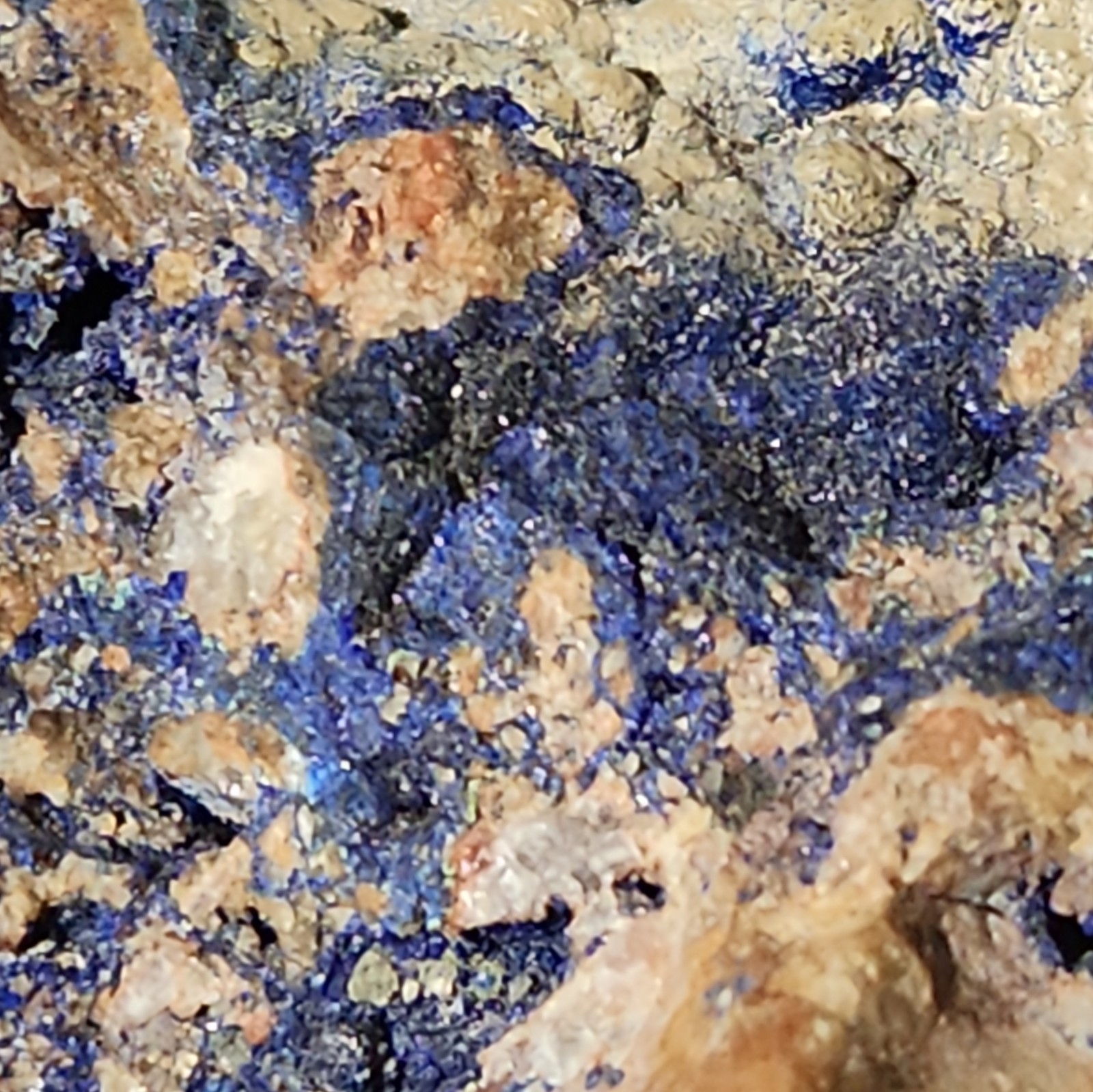 David Taliman Lone Mountain Turquoise Red Coral SS .925 S7-7.5 Azurite Specimen