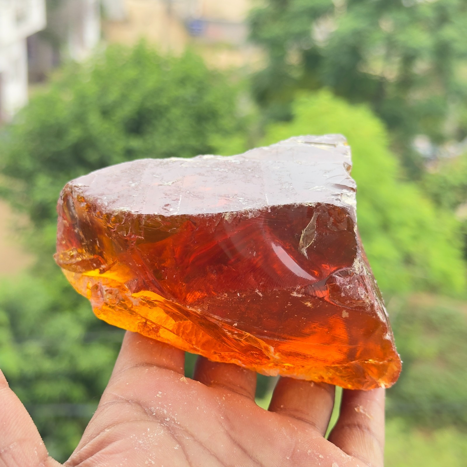 Certified 1620 Ct Natural Amber Rough – Translucent Raw Gemstone from Lithuania