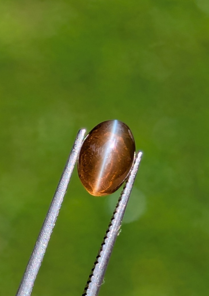 Natural Chrysoberyl Cat’s Eye 1.35ct Honey | Sharp Eye | Glass Body Ceylon