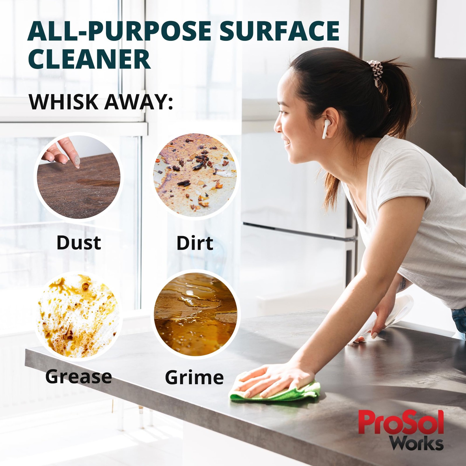 PROSOL WORKS All Purpose Cleaner Cleaning Spray 16 oz – 16 Fl Oz (Pack of 1)