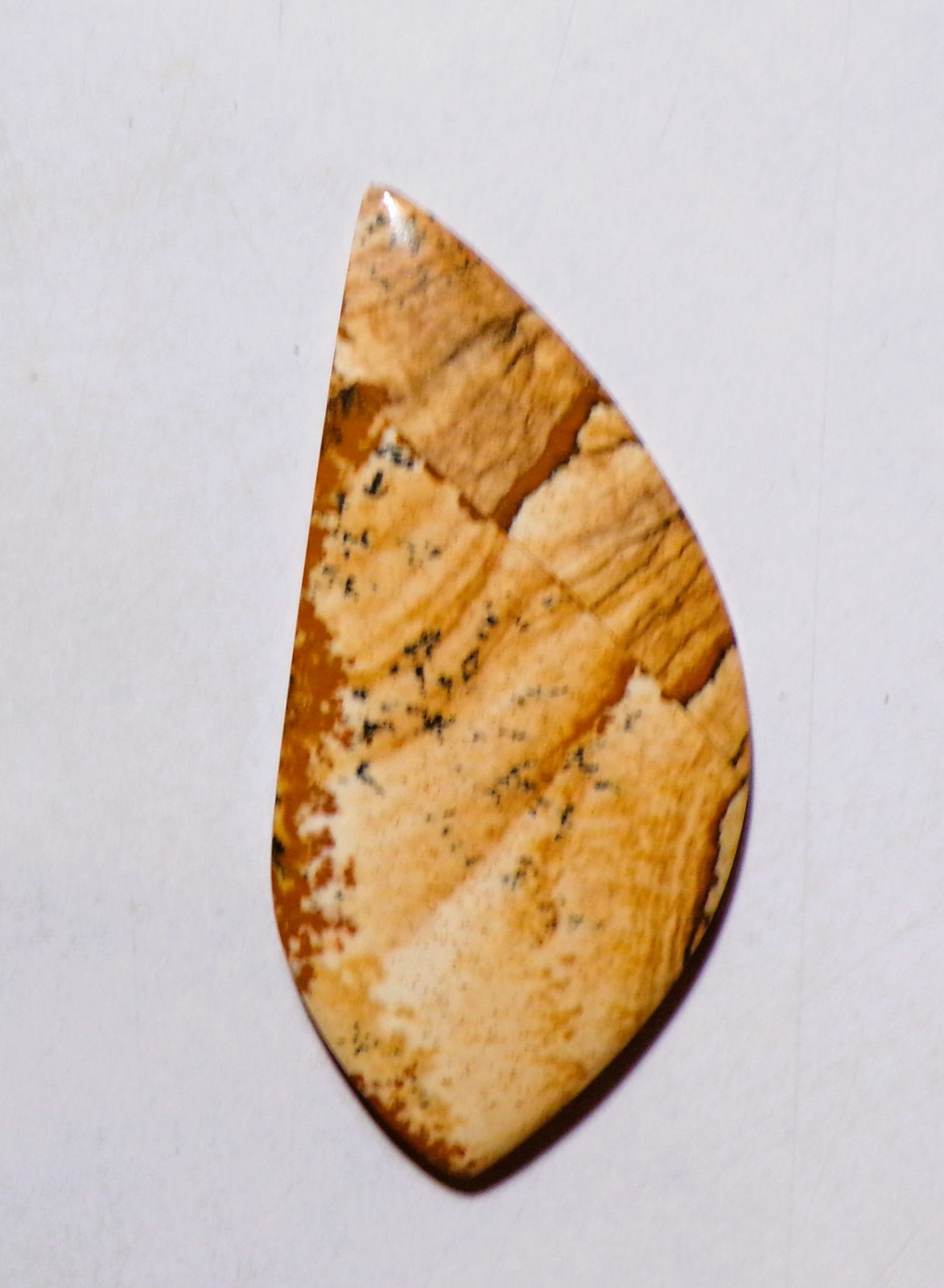 38.30 Cts Natural Picture Jasper Cabochon Loose Gemstone 55X26X4MM