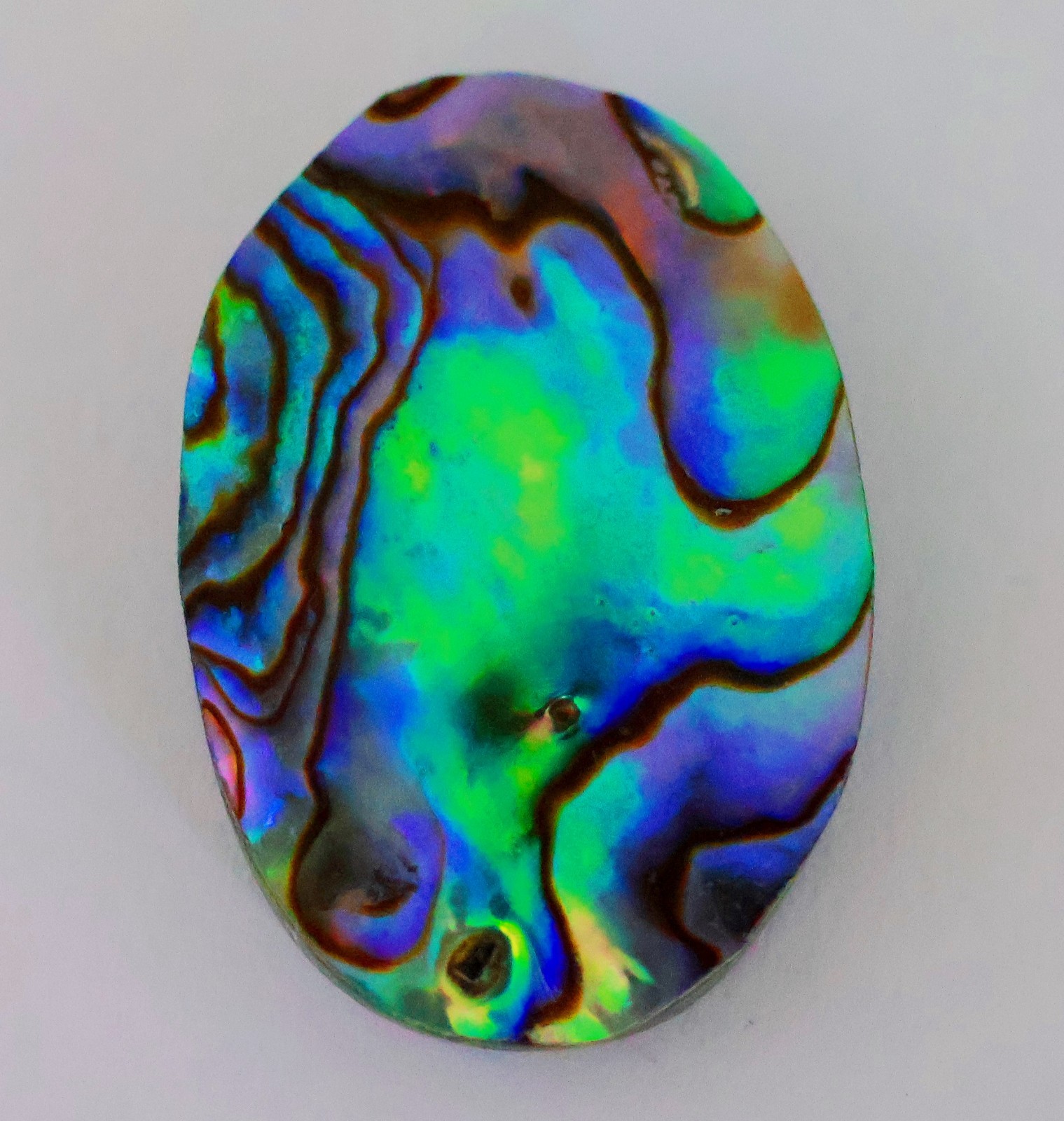 35 Ct 6X21X28 mm Natural Multi Fire Abalone Shell Oval Cabochon Gemstone KQ-130