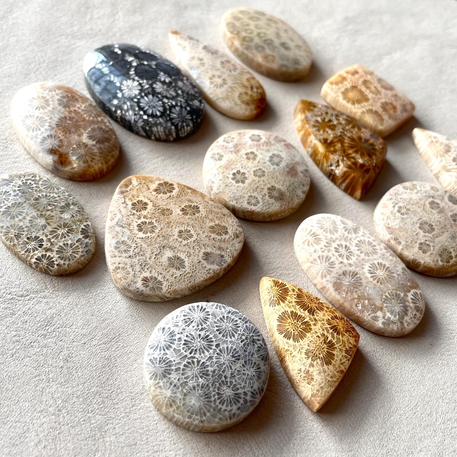 Natural Fossil Coral Cabochon Indonesian Fossilized flat back flower Gemstone
