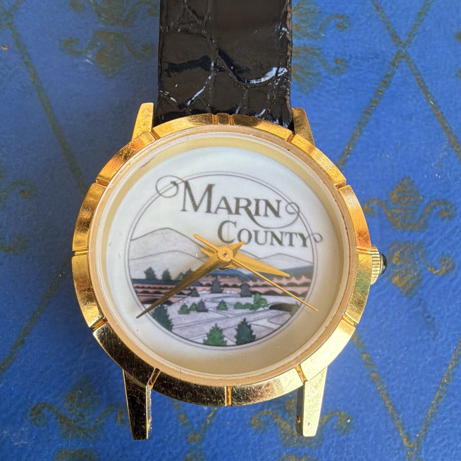 Image Watches Marin County Quartz Gold Tone Black Leather Scenic Dial