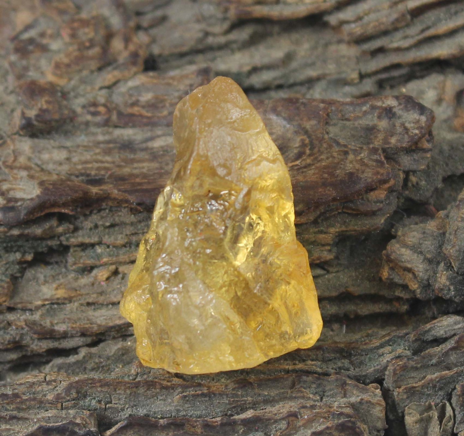 Natural 26.75 Ct Yellow Grossular Garnet Gemstone Rough Certified T37066