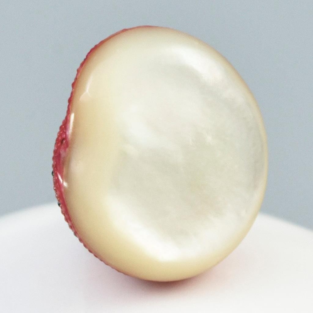 Rare Strawberry Top Shell Cabochon Red Clanculus puniceus | Jewelry Design 1.72g