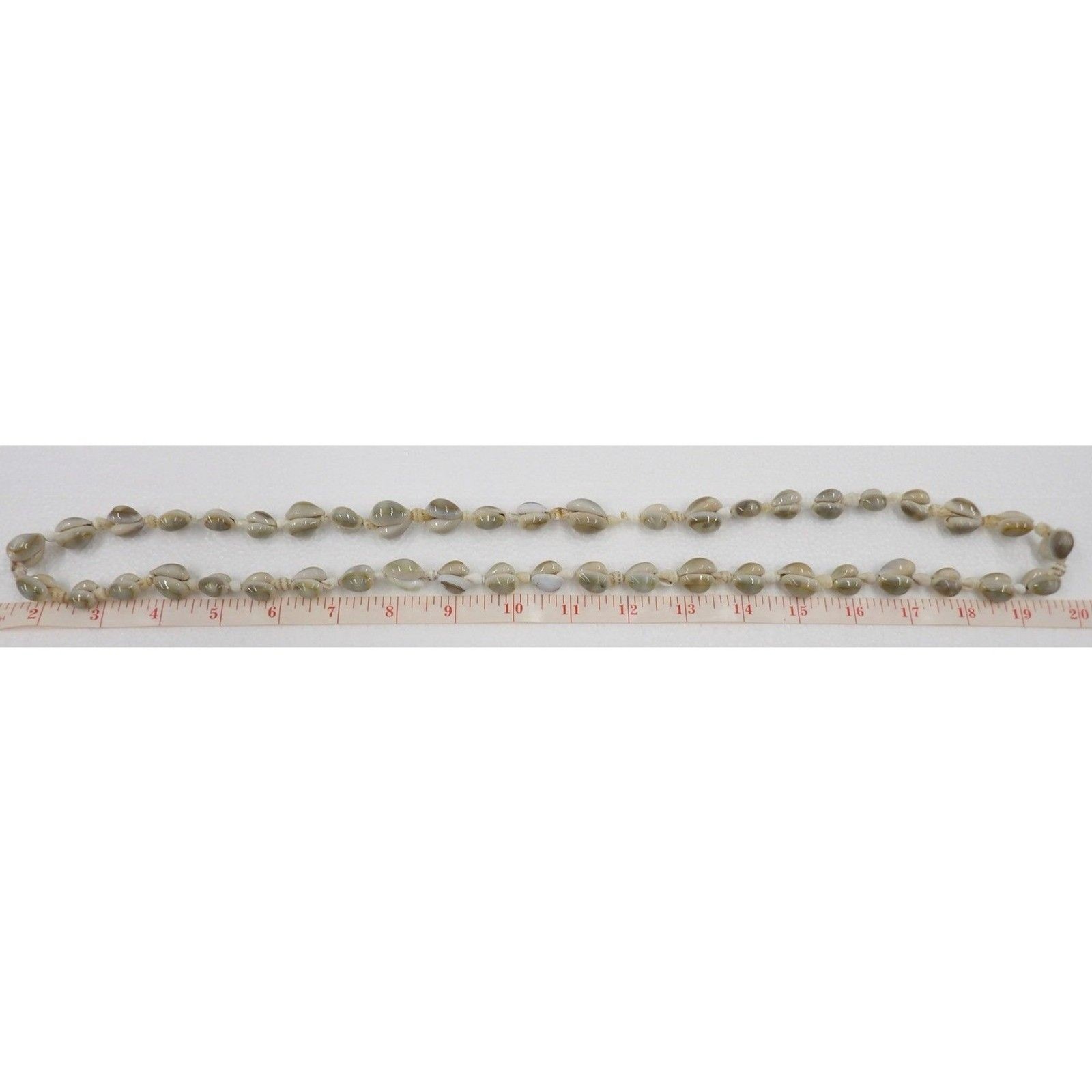 Vintage 1/2″ Shell Necklace 19″ Length