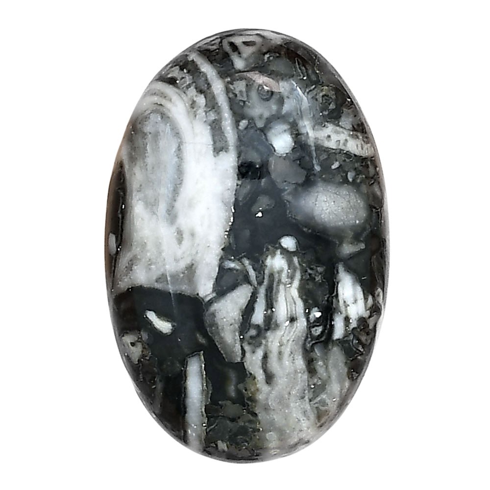 Natural Orthoceras 30×19.6×6 mm Oval Shape Polished Loose Gemstone LS02809-44