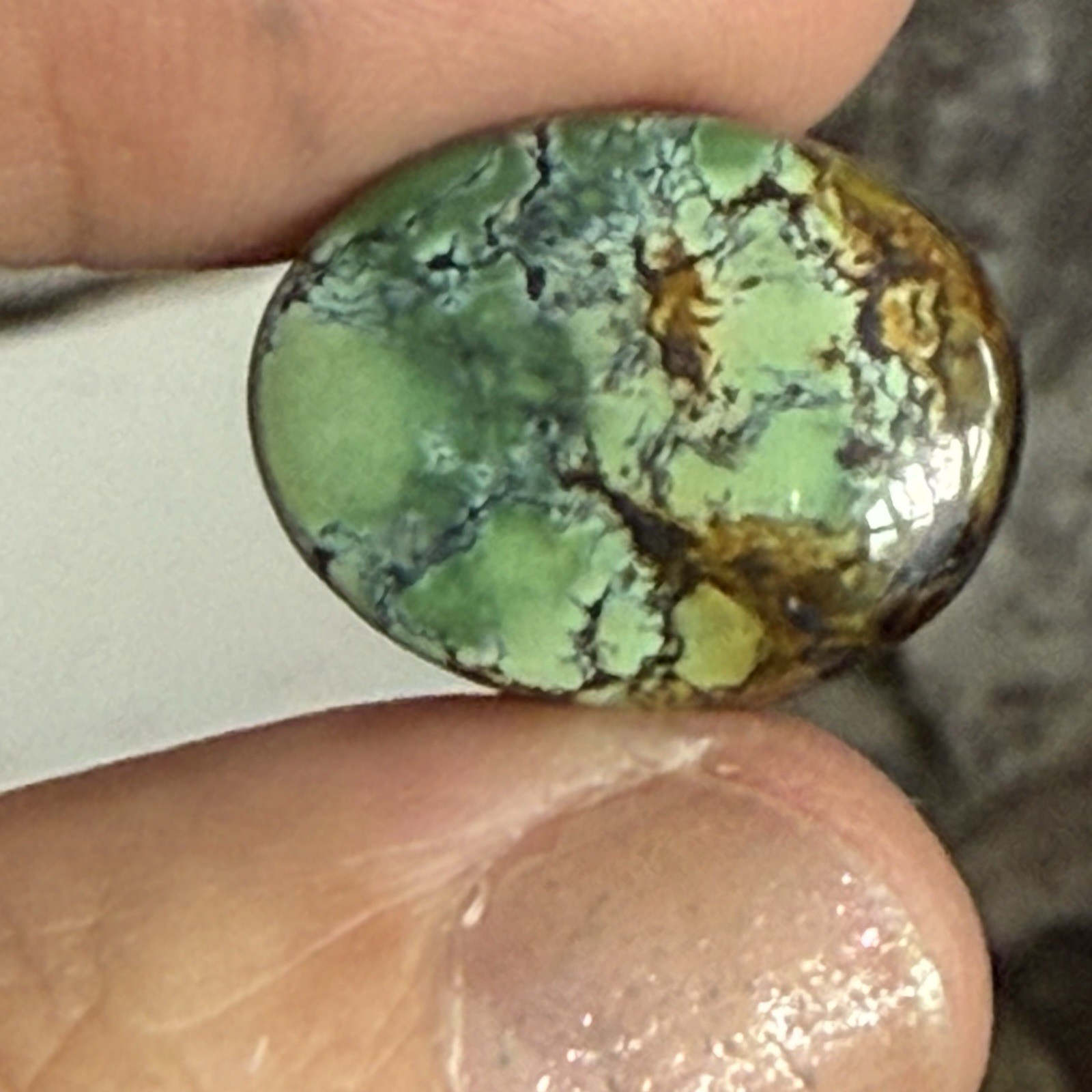 14.10ct 18.7c14.7×6.5mm Green Qingu Mine Turquoise Oval Cabochon Backed Stone