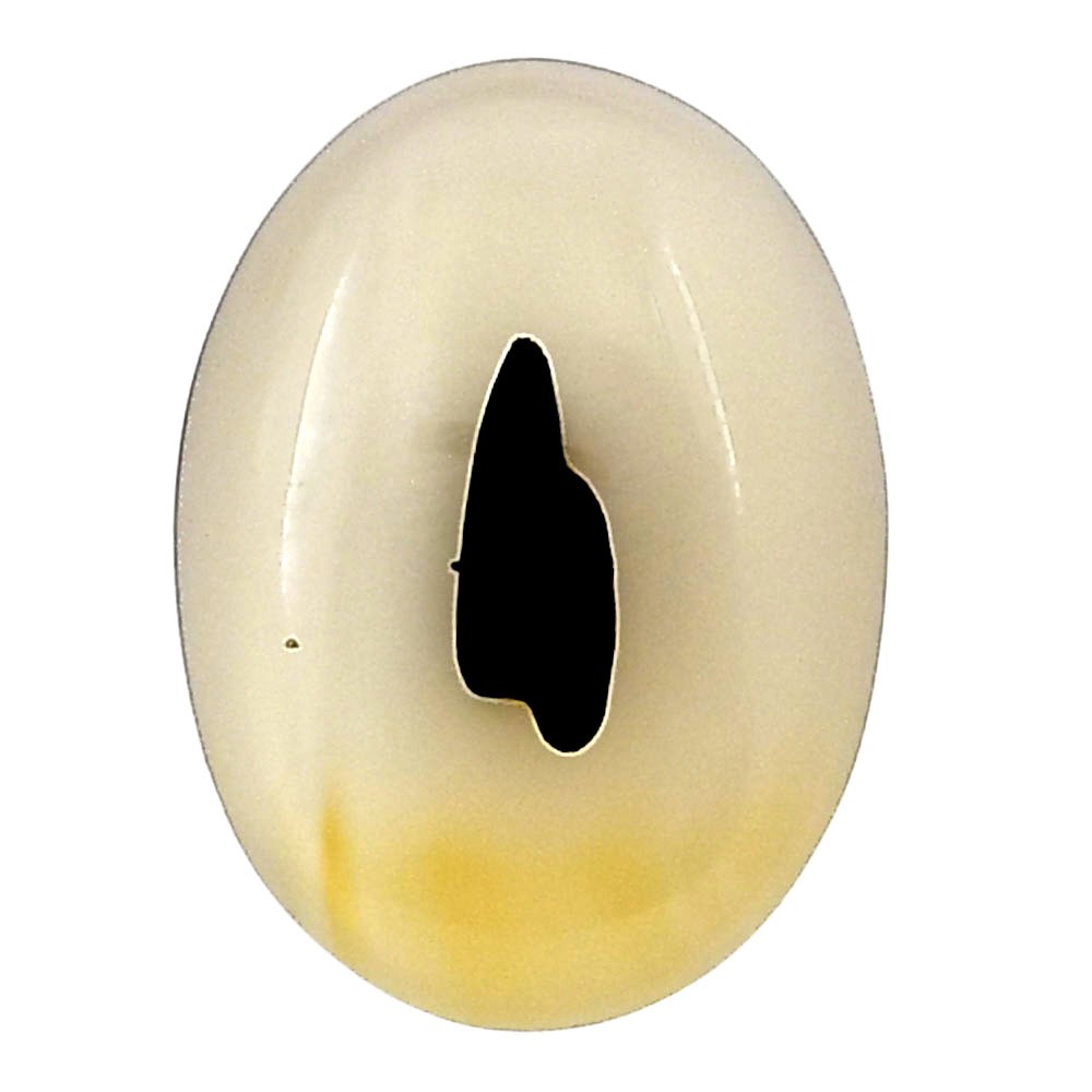 Natural Montana Agate 21×15.5×4.3 mm Oval Shape Polished Gemstone LS02628-40