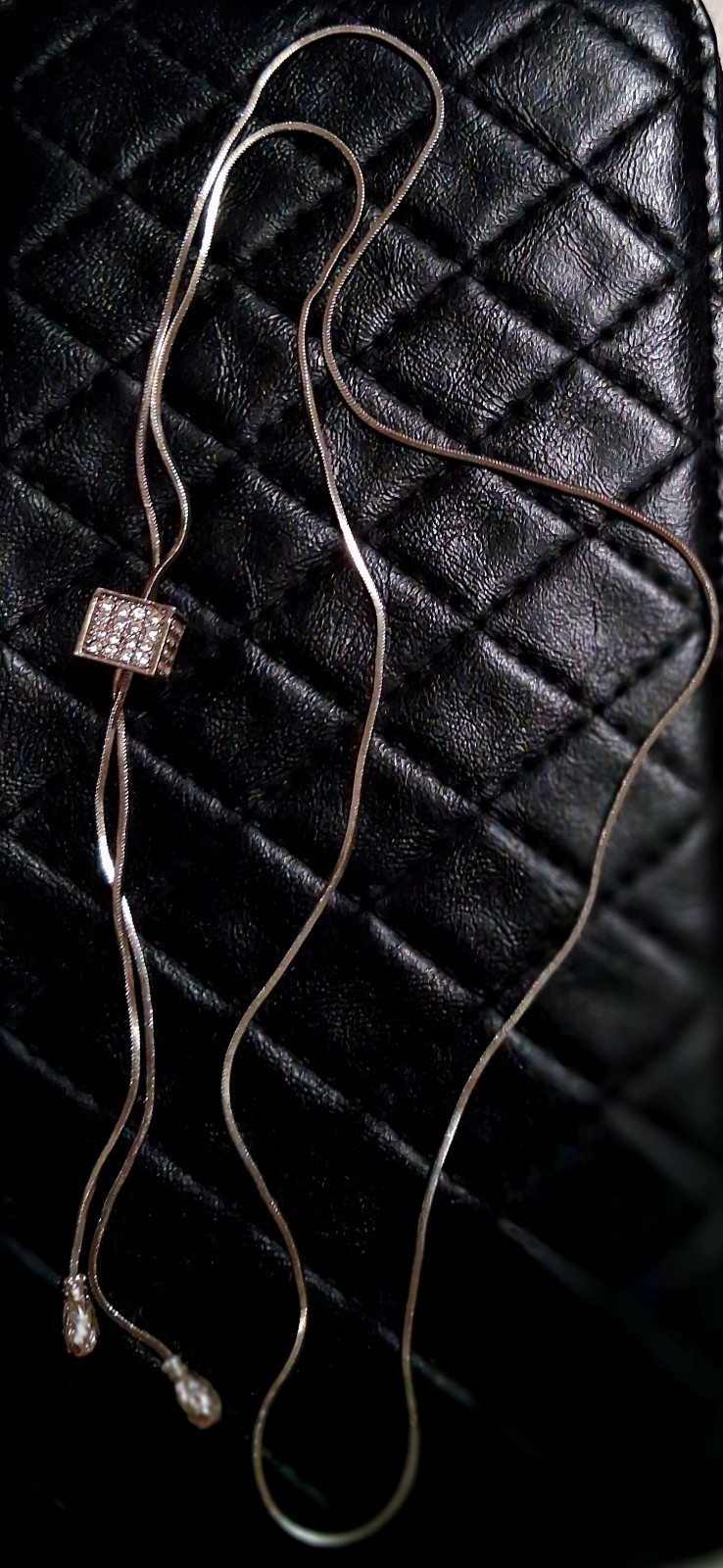 CARSON PIRIE SCOTT SILVER CZ LARIAT NECKLACE NEW