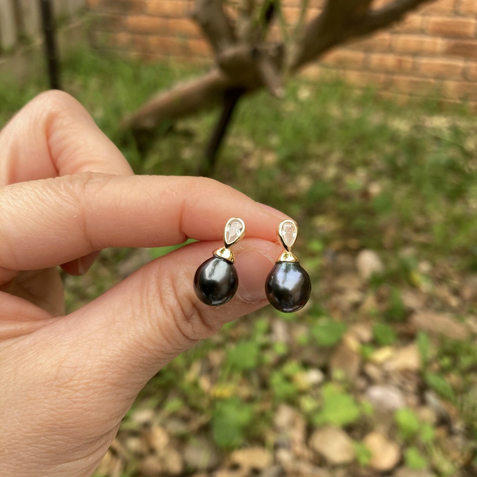 High luster Black Tahitian Pearl sterling Silver S925 Gold Earring stud TH185