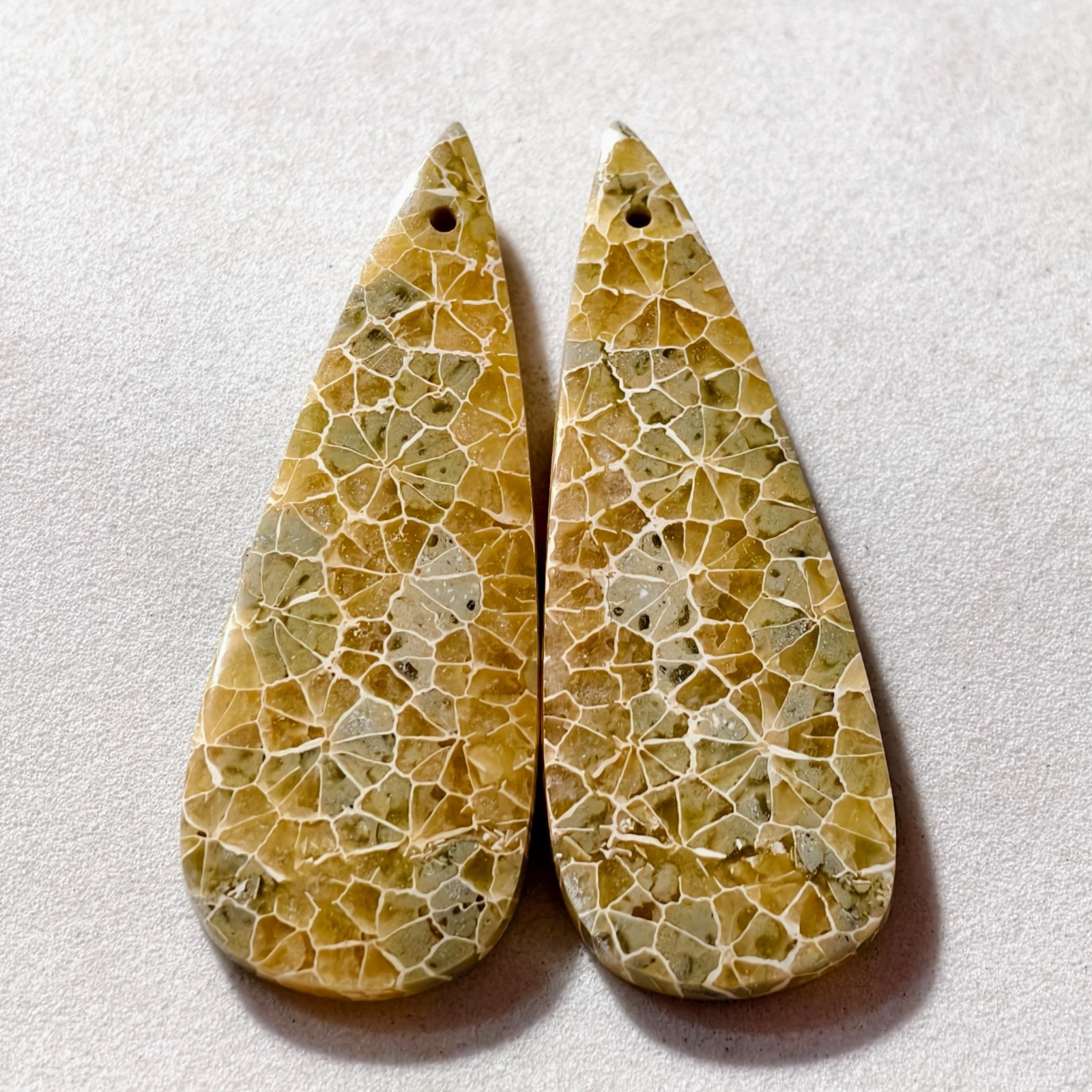 50 Cts Natural Fossilized Coral Drilled Pair Cabochon Gemstone 43.5 X 16.1 MM
