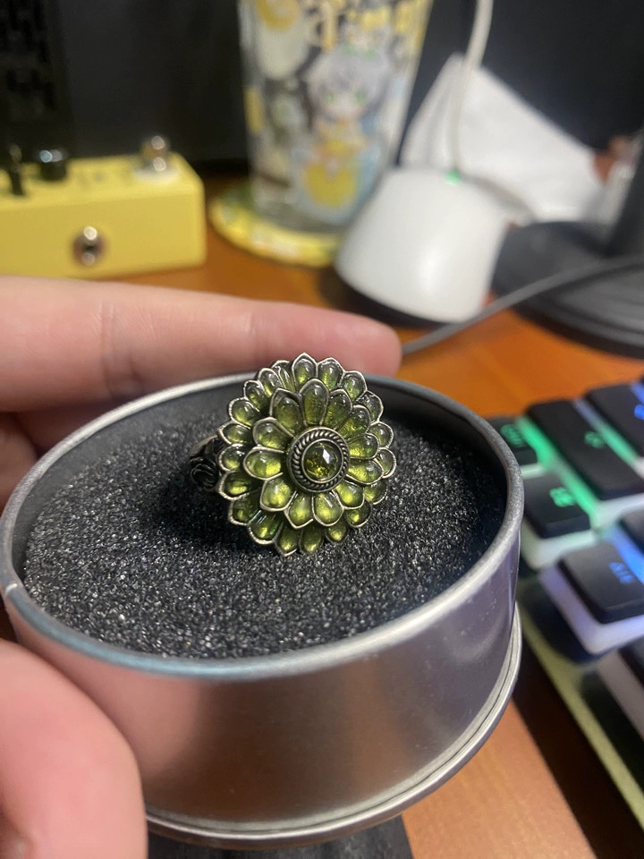 Dark souls Game Ring Cloranthy Ring Video Game Cosplay Adjustable Size