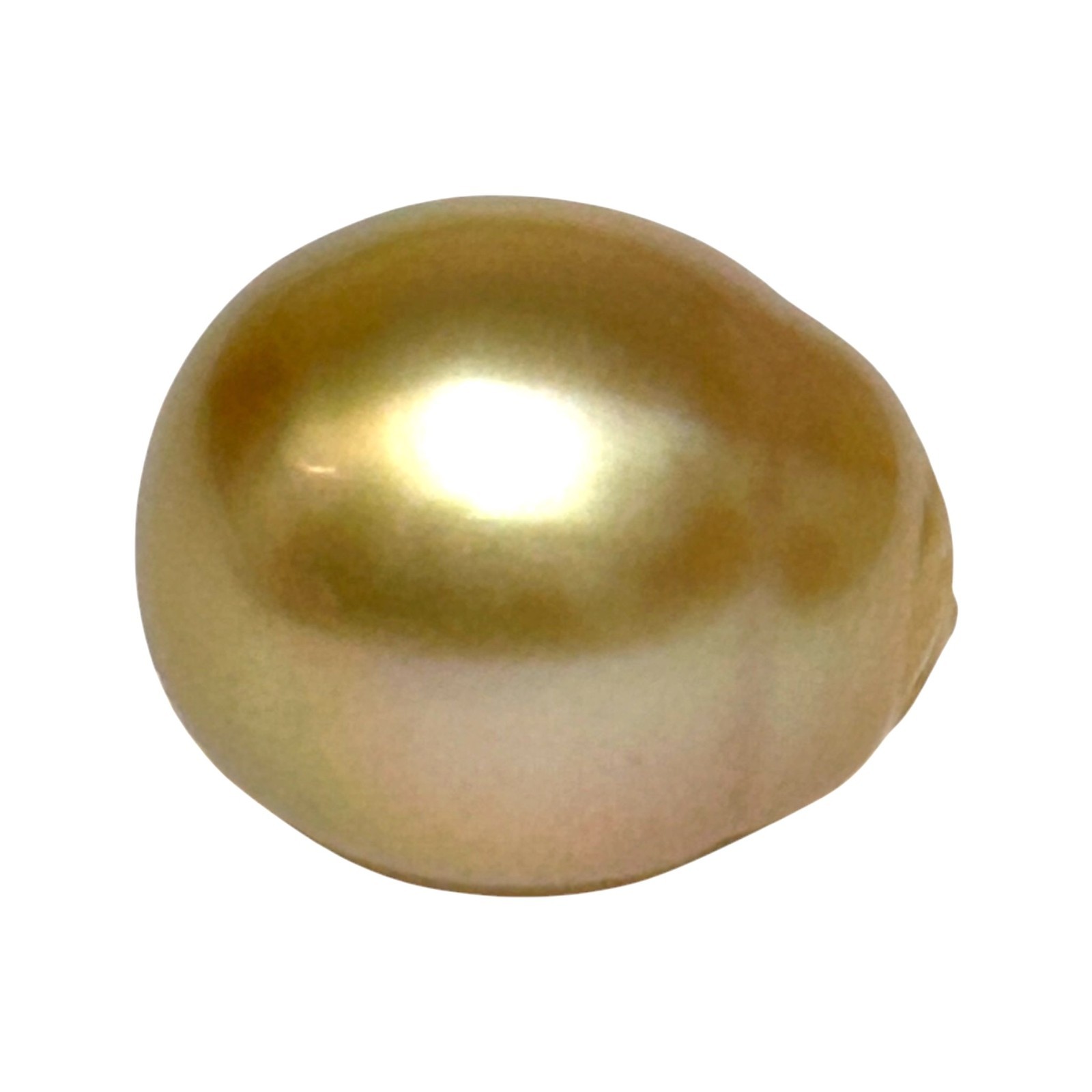 Elegant 26.4 Carat 14.8 x 17.4mm South Sea Pearl Golden Oval Radiant Luster