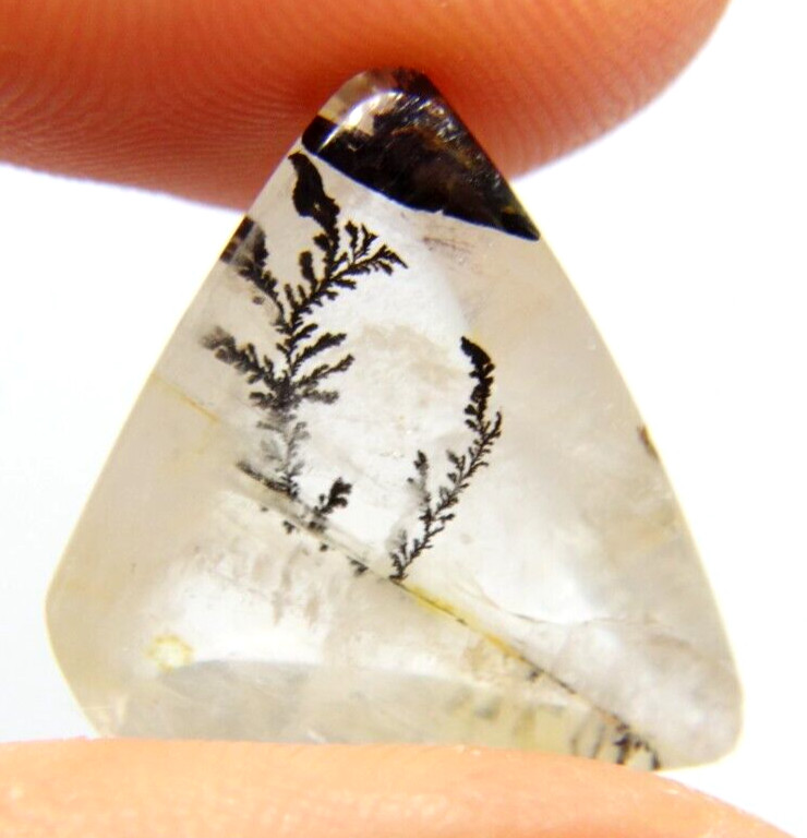 IP-4 Dendrite Quartz 8.72ct 15x19x5mm Free Form, picture stone garden branches