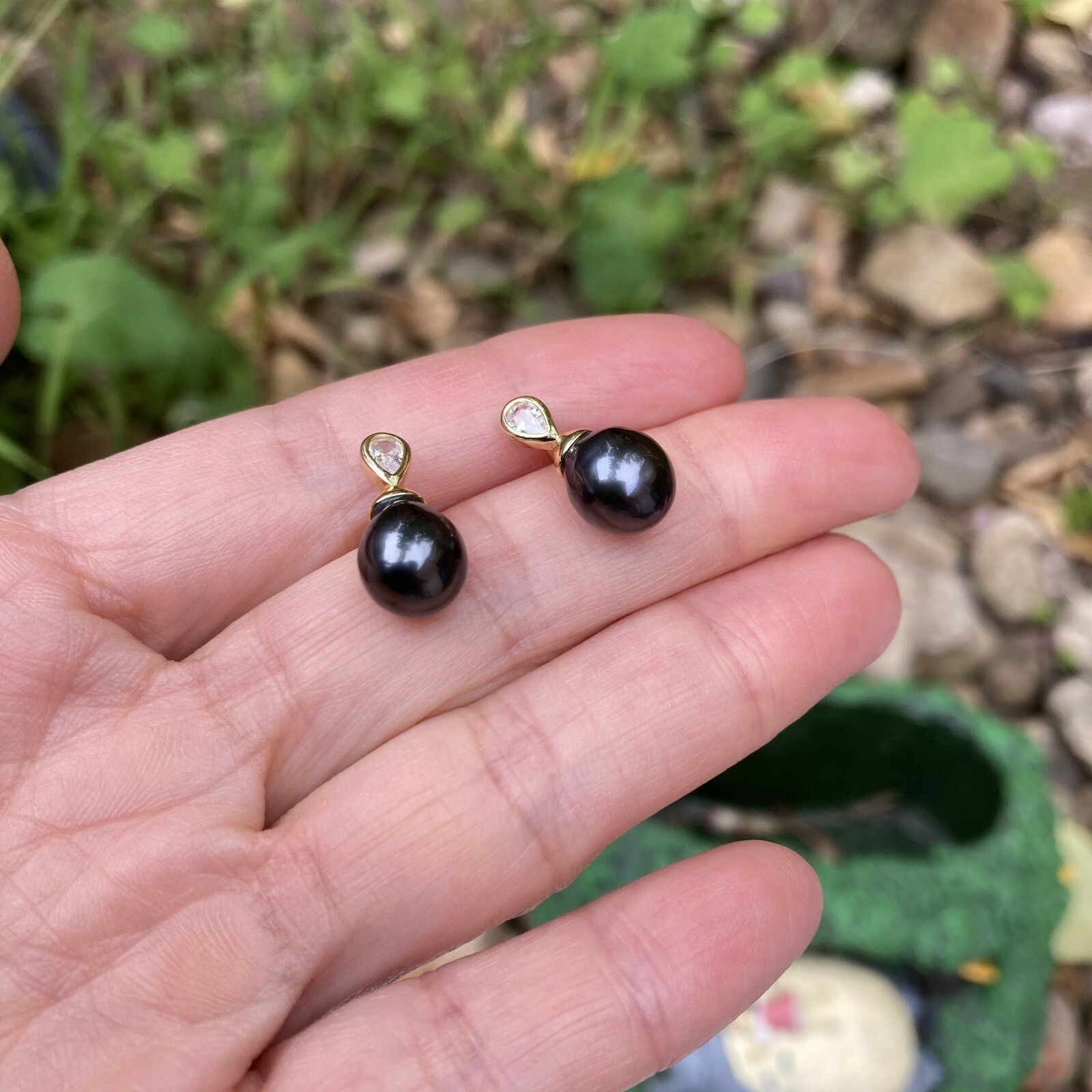 High luster Black Tahitian Pearl sterling Silver S925 Gold Earring stud TH185