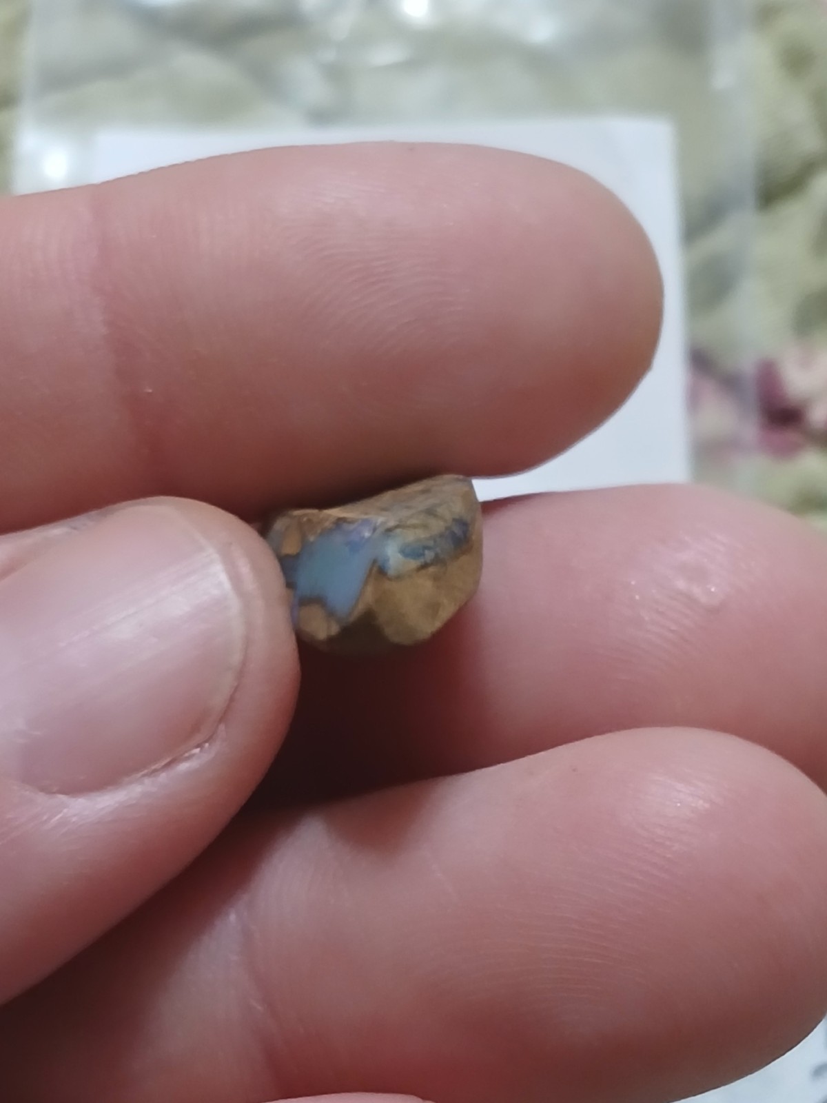 Australia Boulder Opal Unknown Field Blue Green R2037 Specimen 6 Carat