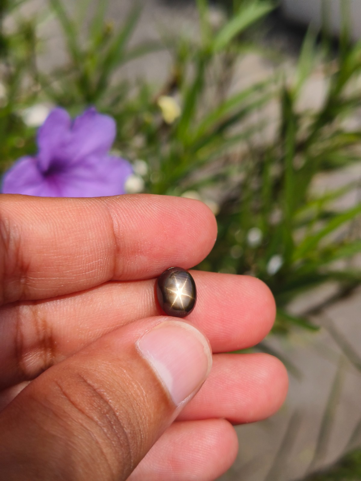 3.48 Cts A BEAUTIFUL NO HEAT BLACK STAR SAPPHIRE OF PERFECT 6 RAYS STAR ✨