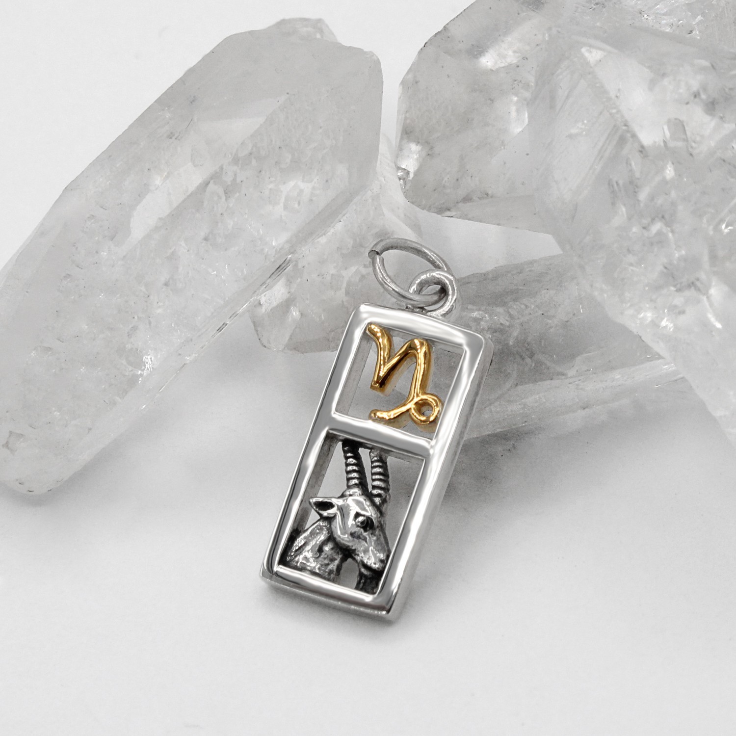 Capricorn Sign Sterling Silver Zodiac Pendant Charm Astrology Jewelry