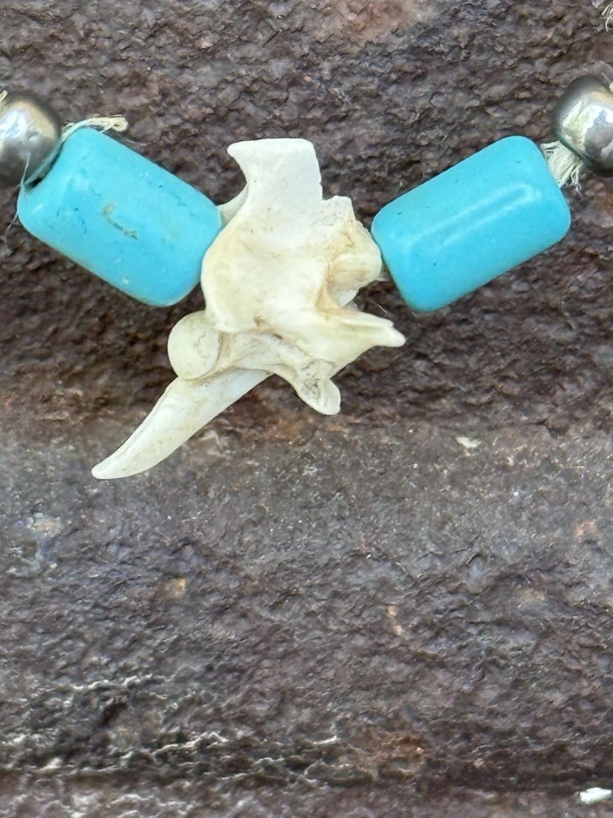 Real Snake Vertebrae Hemp Cord Handmade Necklace