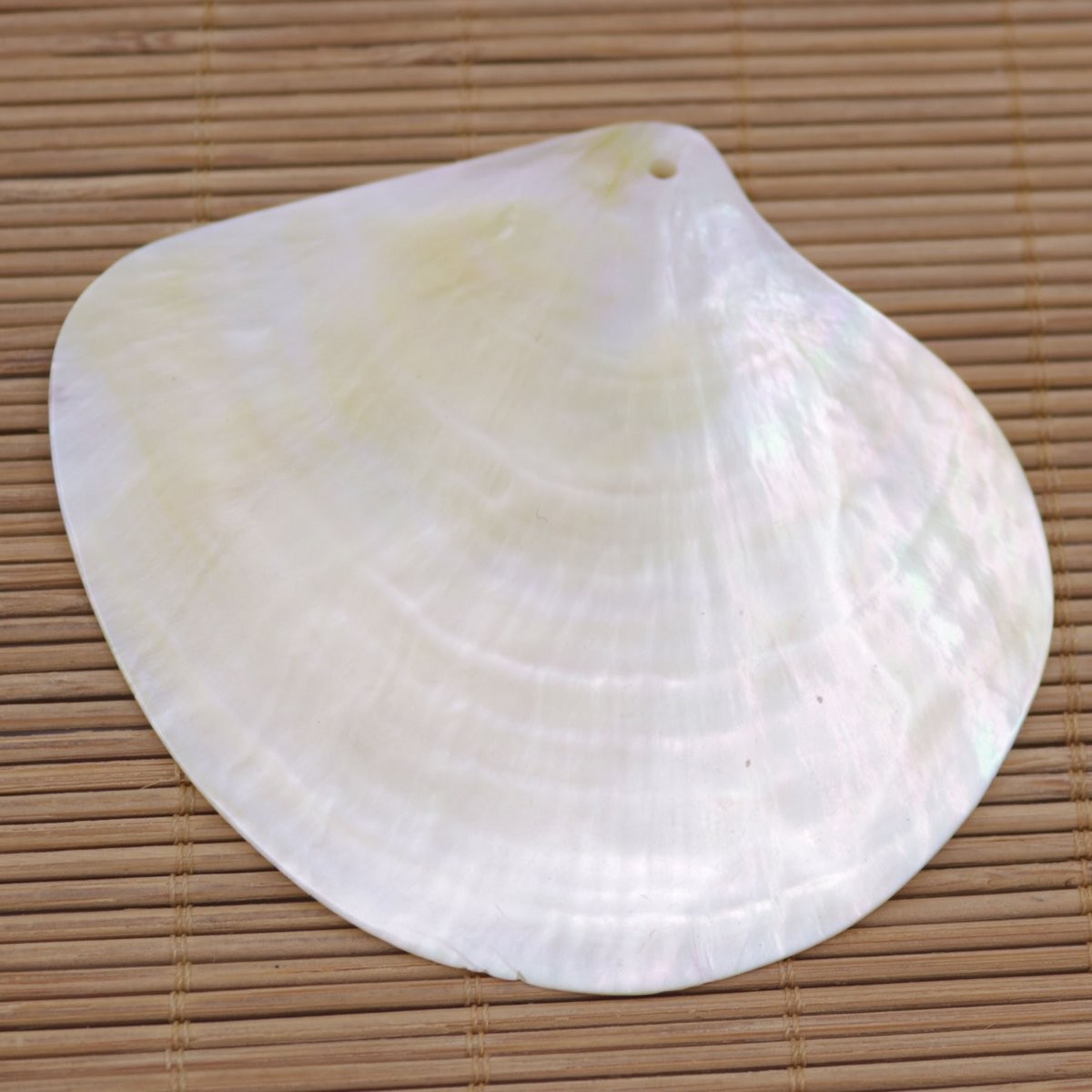 80mm-85mm Natuarl Golden Lip Shell Mother of Pearl Top Hole Charms Pendants