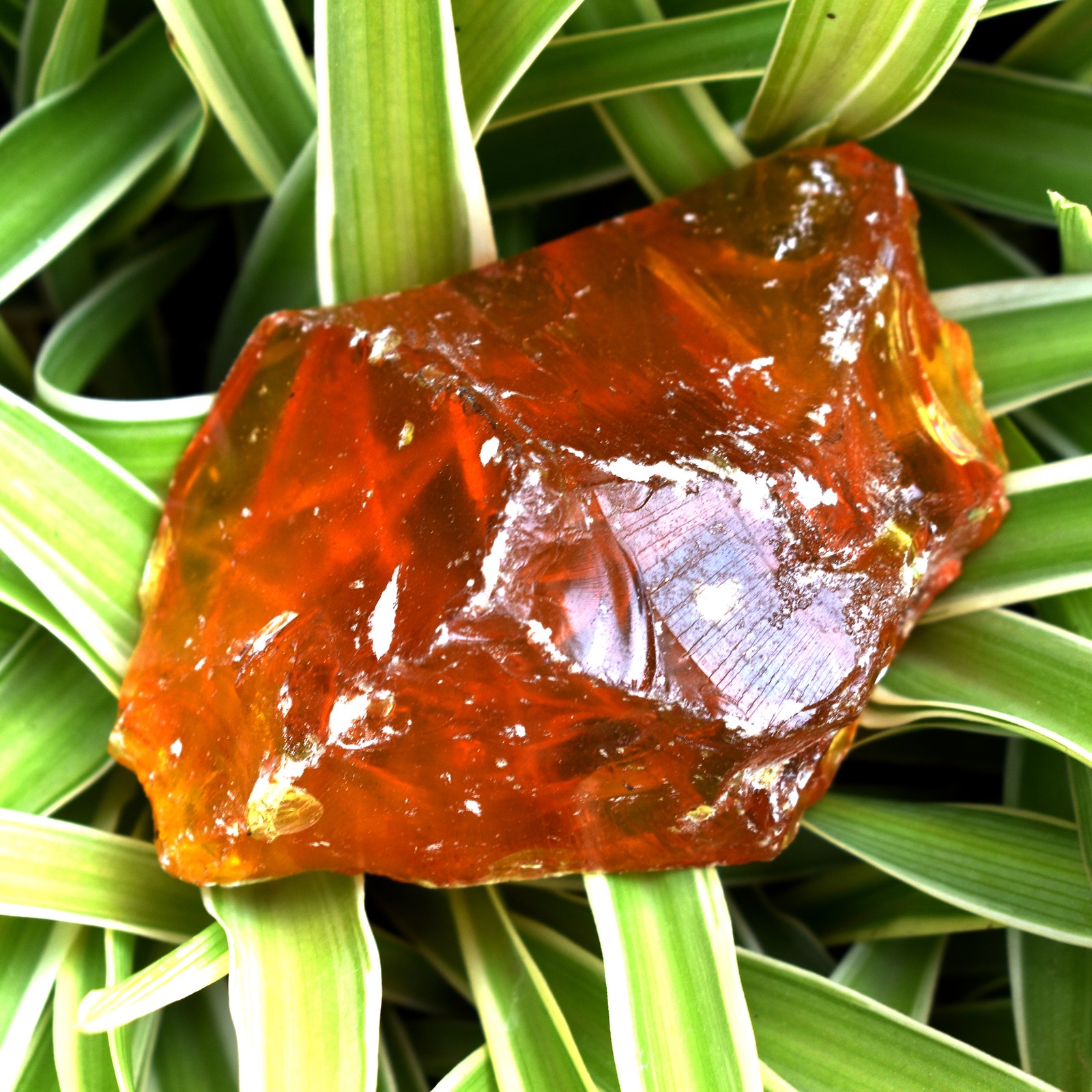 380.30 Ct Natural Orange Amber Uncut Rough Certified Gemstone Best Gift For Mom