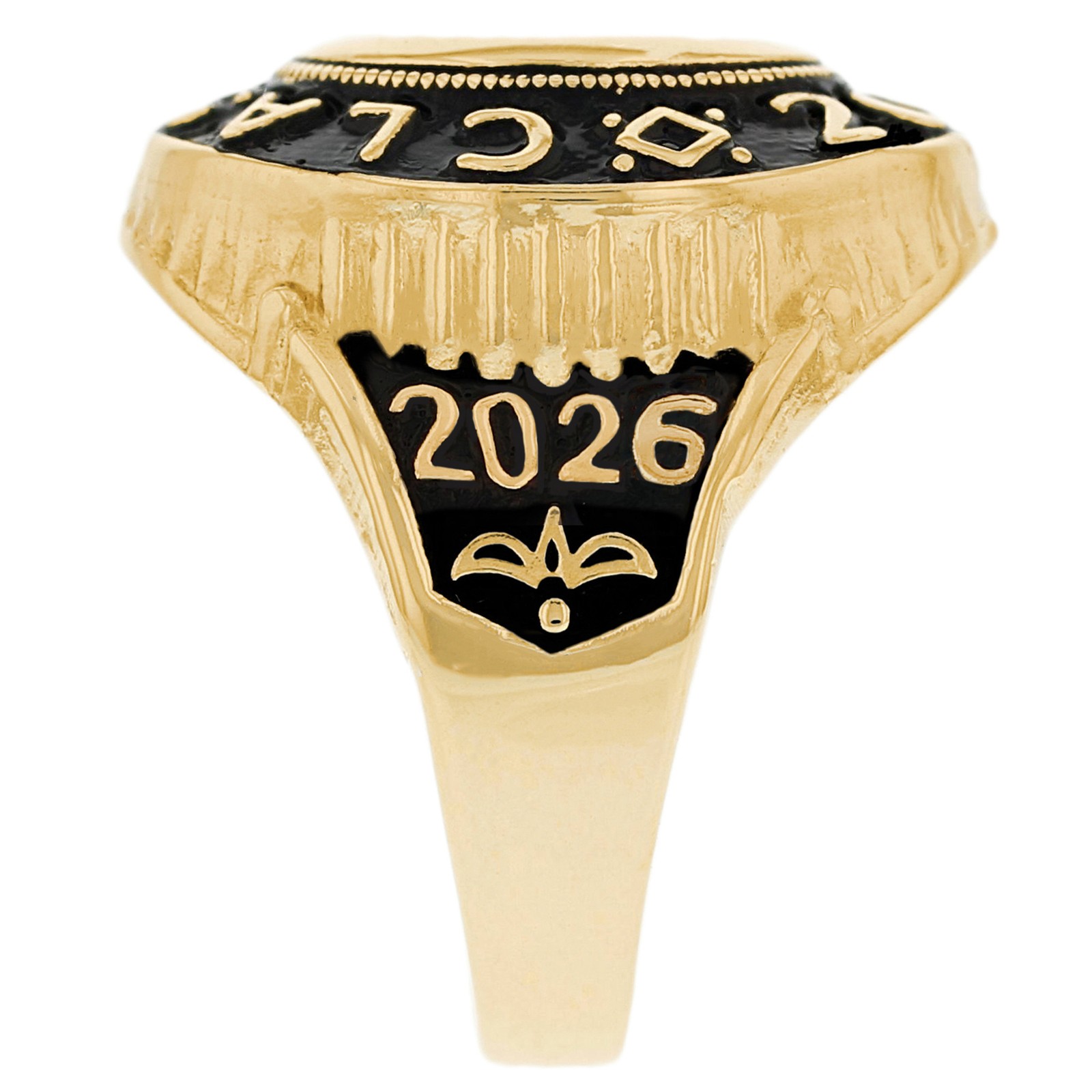 10k or 14k Gold August CZ Simulated Birthstone 2026 Graduation Mens Class Ring
