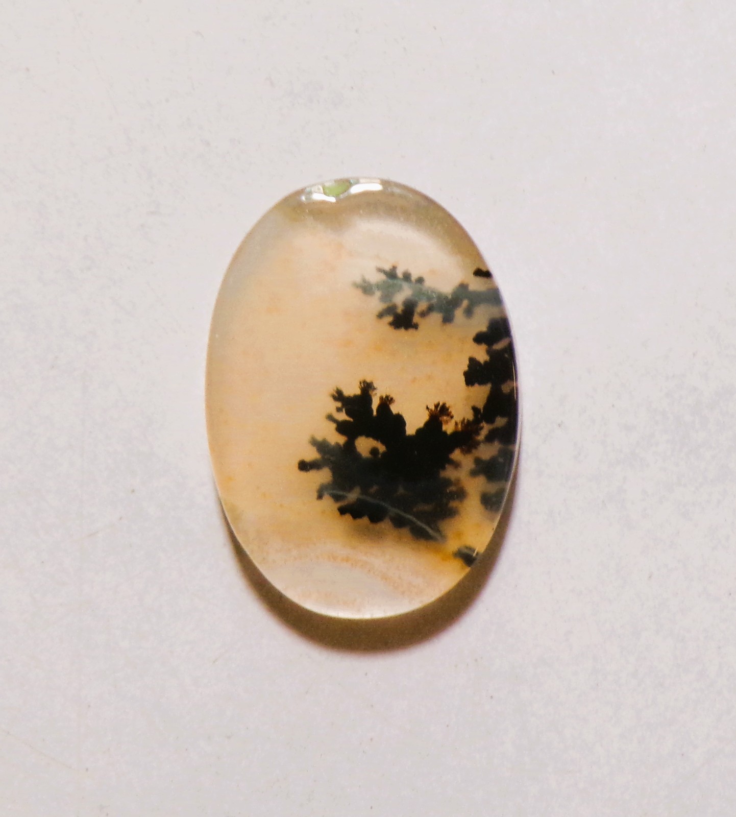 11.70 Cts Natural Shazar Dendritic Agate Cabochon Loose Gemstone 22X16X3.9MM 185