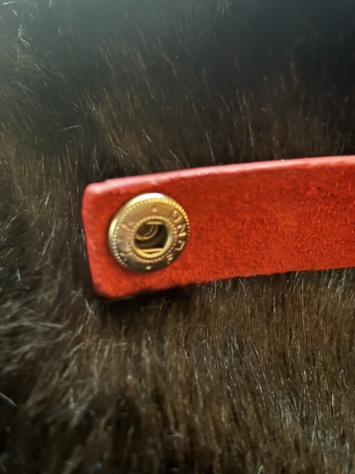 Red Heart Buckle Adjustable Women’s Waist Belt with Gold Rivets