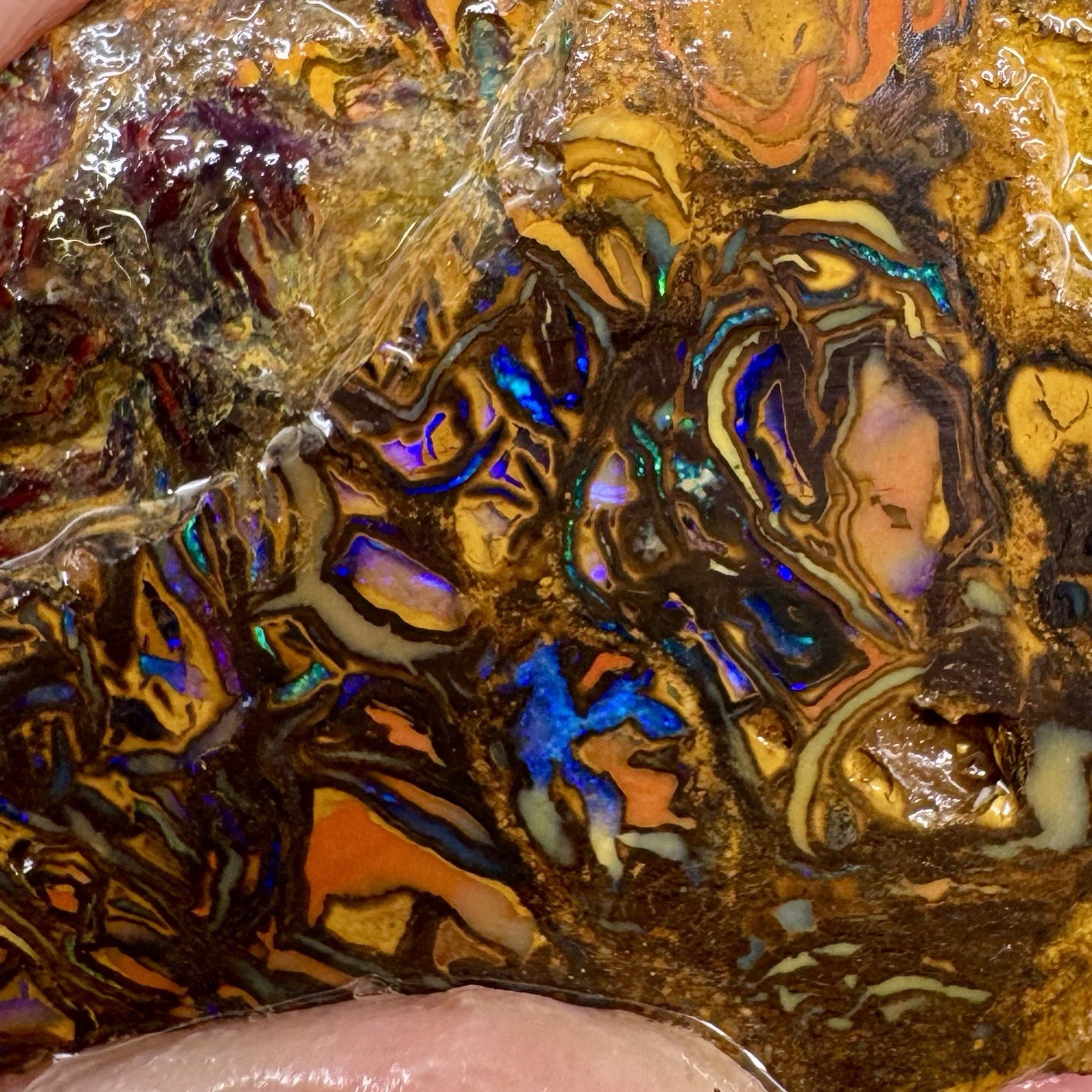 71ct Koroit Boulder Opal Slab Tribal Matrix Blues Greens Australian