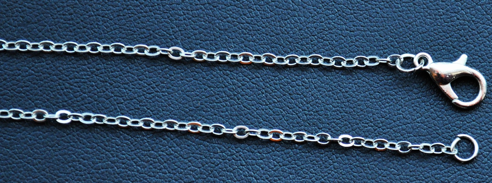 Israel Lion Coin Pendant Necklace