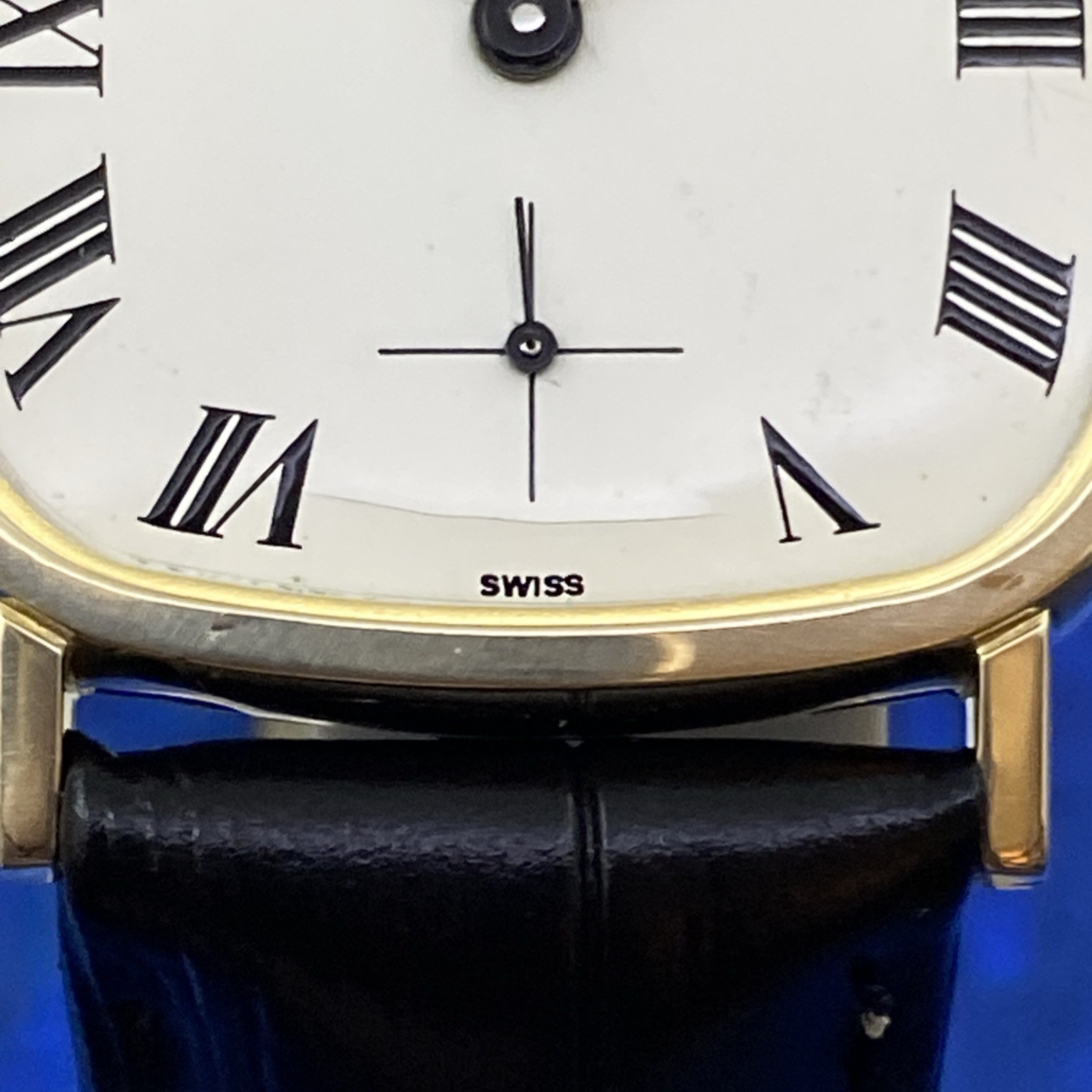 Vintage 1960’s Man’s HAMILTON Roman Numerals Dial Fully Serviced 1 Year WARRANTY