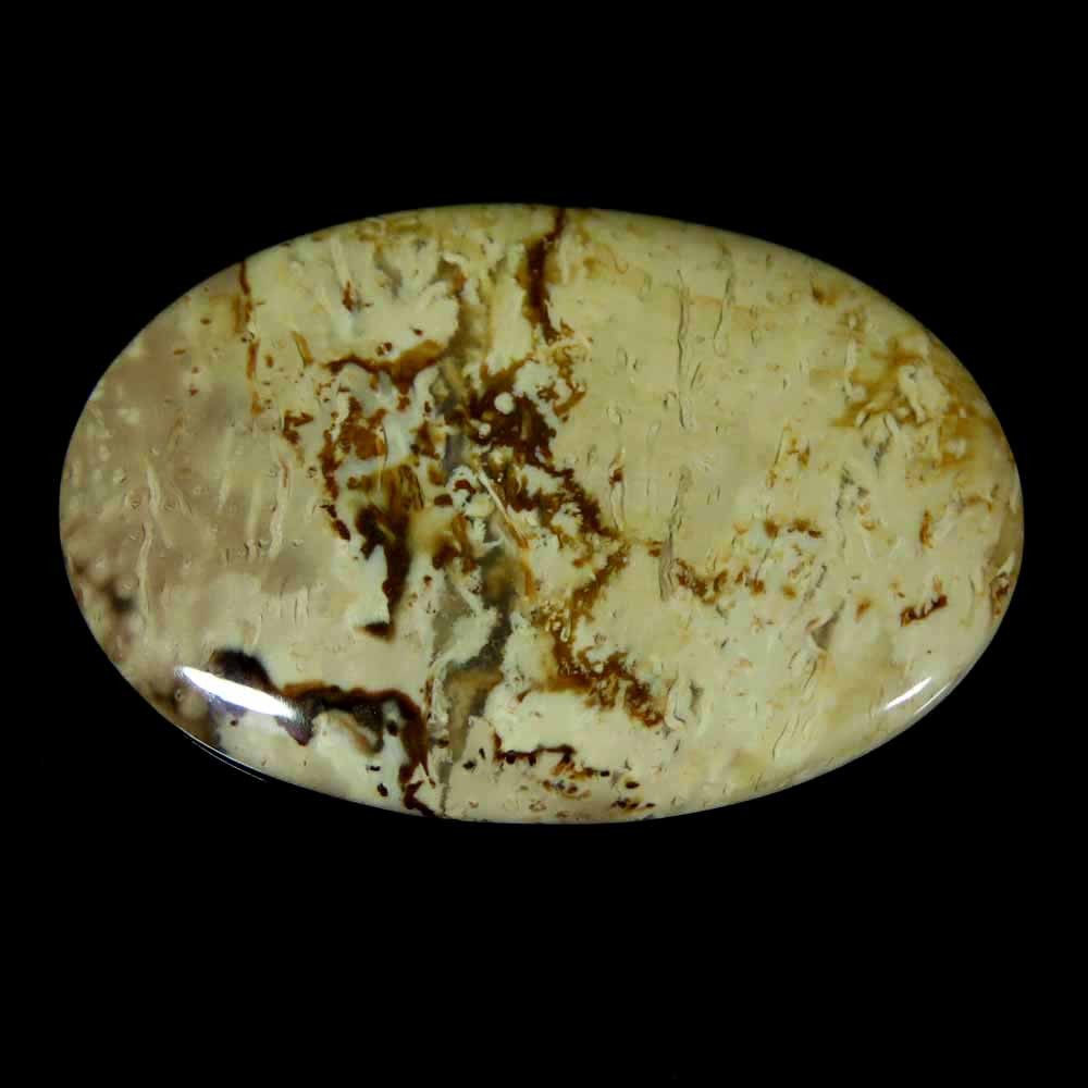 72.70Cts.100%Natural Top Quality Palm Root Agate 35x51x5mm Oval Cab Gemstone