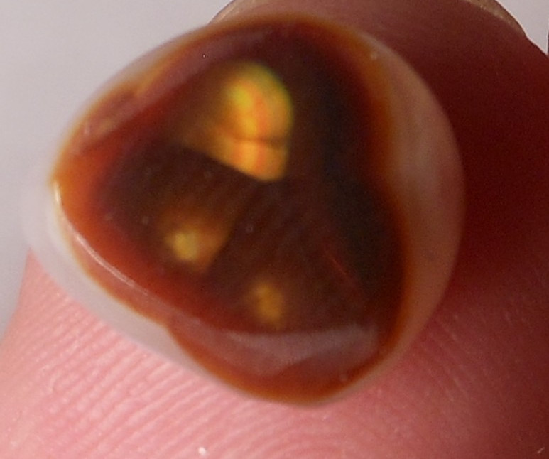 7.50ct Mexican Fire Agate 13.1mm x 11.6mm x 5.6mm
