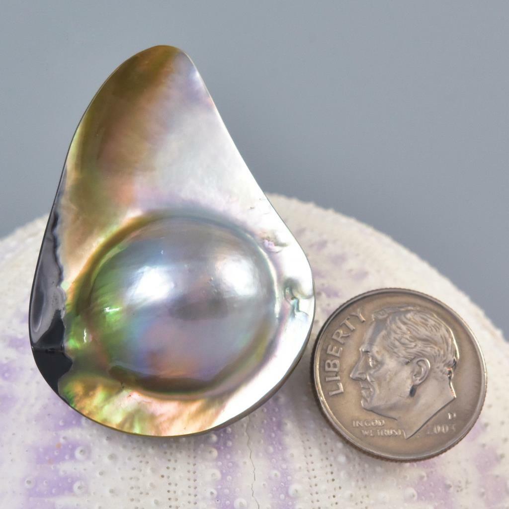 Mabe Blister Pearl in Shell Extreme Colorful Rainbow Iridescent 8.12g Cabochon
