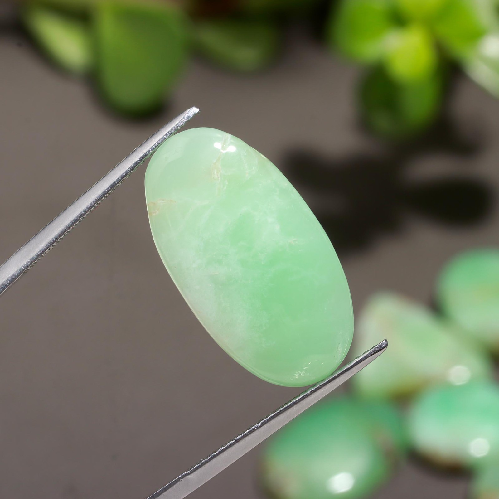 25 Pcs 245 Cts Natural Chrysoprase Cabochon Gemstone Lot 14×21-11×11 mm #R-12334