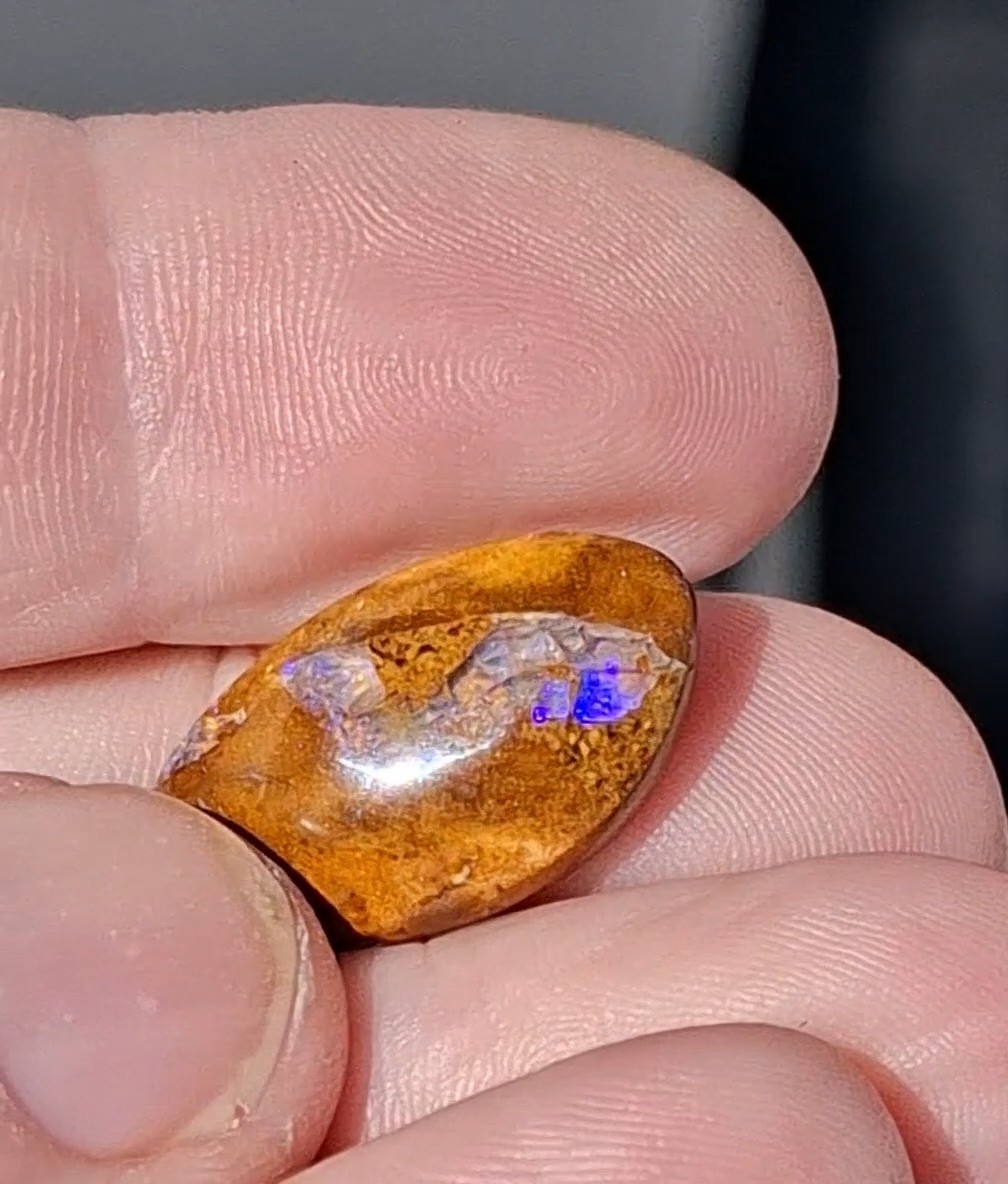 12.5ct Wood replacement Qld boulder opal. Vibrant iridescent blue & purple flash