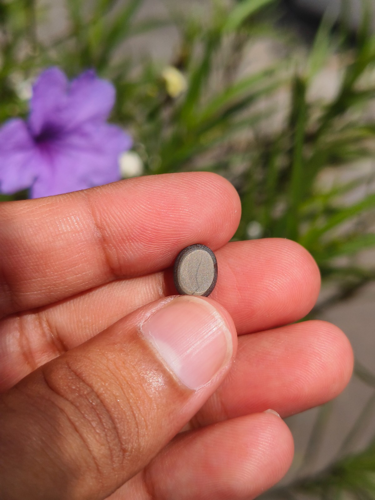3.48 Cts A BEAUTIFUL NO HEAT BLACK STAR SAPPHIRE OF PERFECT 6 RAYS STAR ✨