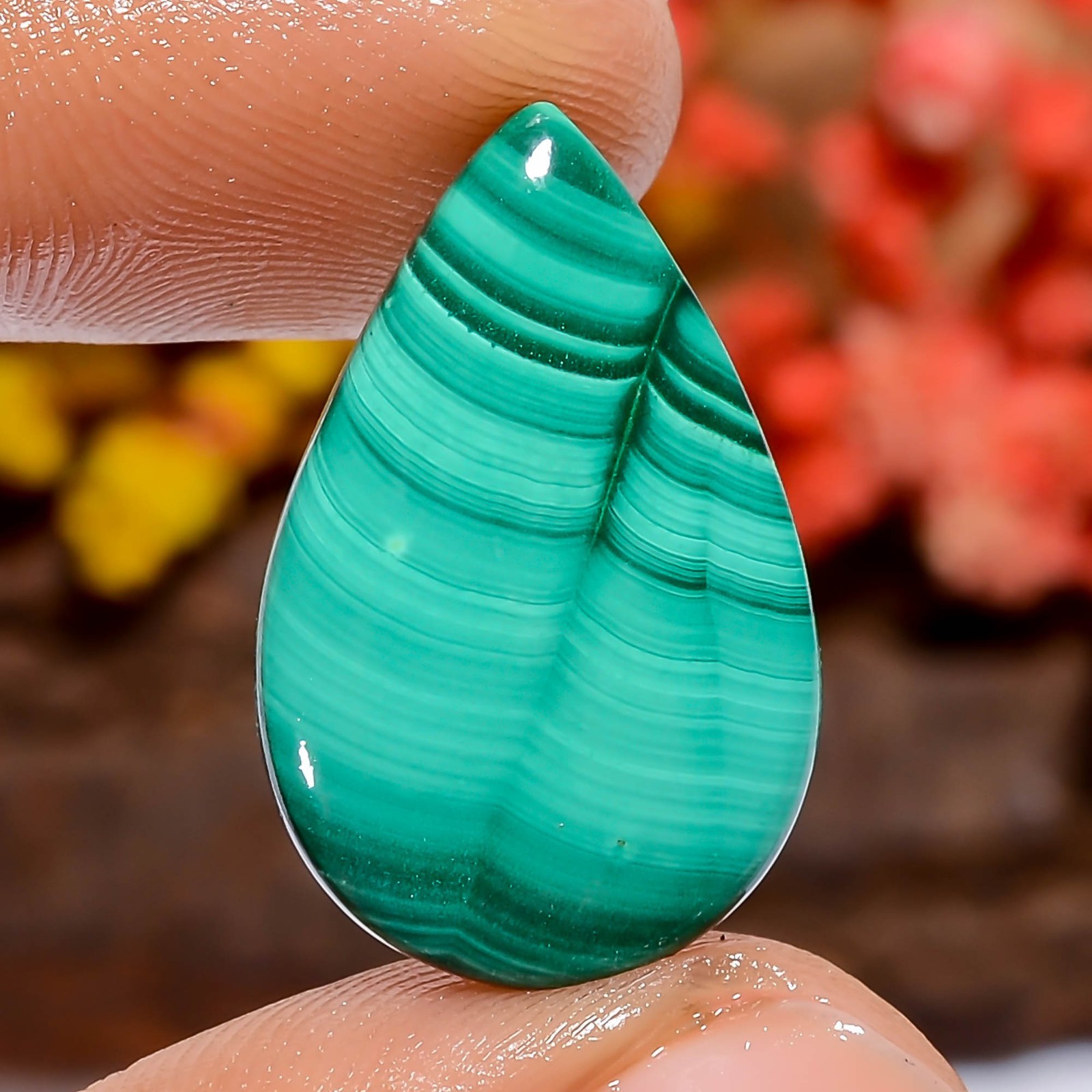 Natural Malachite Pear 13Ct 23X14X2mm Loose Gemstone Polished Stone Green Africa