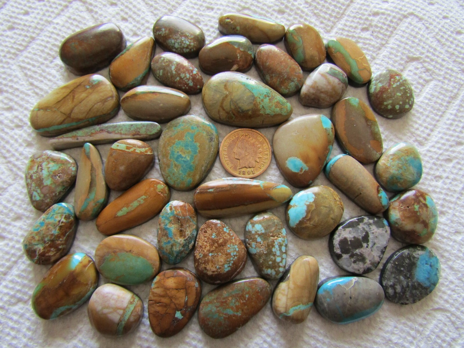 40 Ribbon Boulder Turquoise Cabs 644 carat Cabochons Wholesale Lot