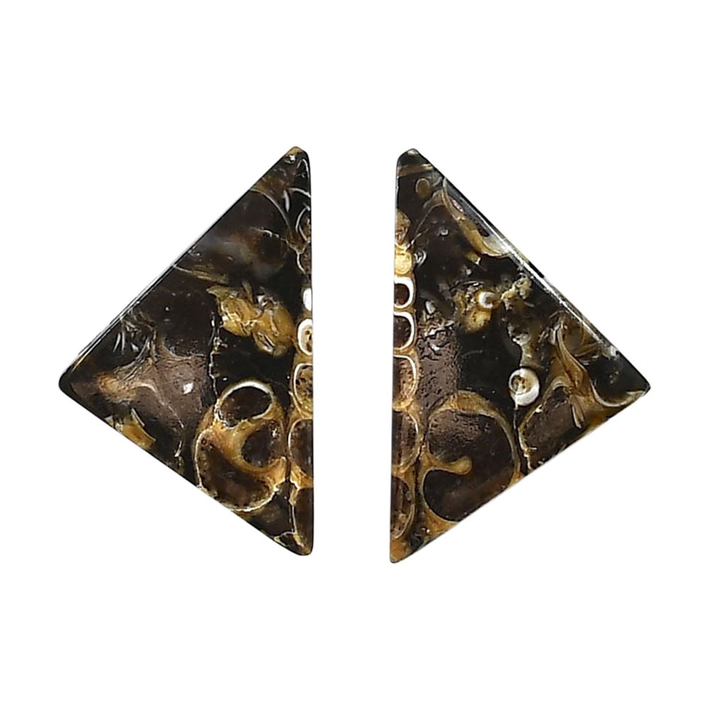Natural Turtella Jasper Pair 16.8×26.9×4.3 mm Fancy Polished Gemstone LS70-04192
