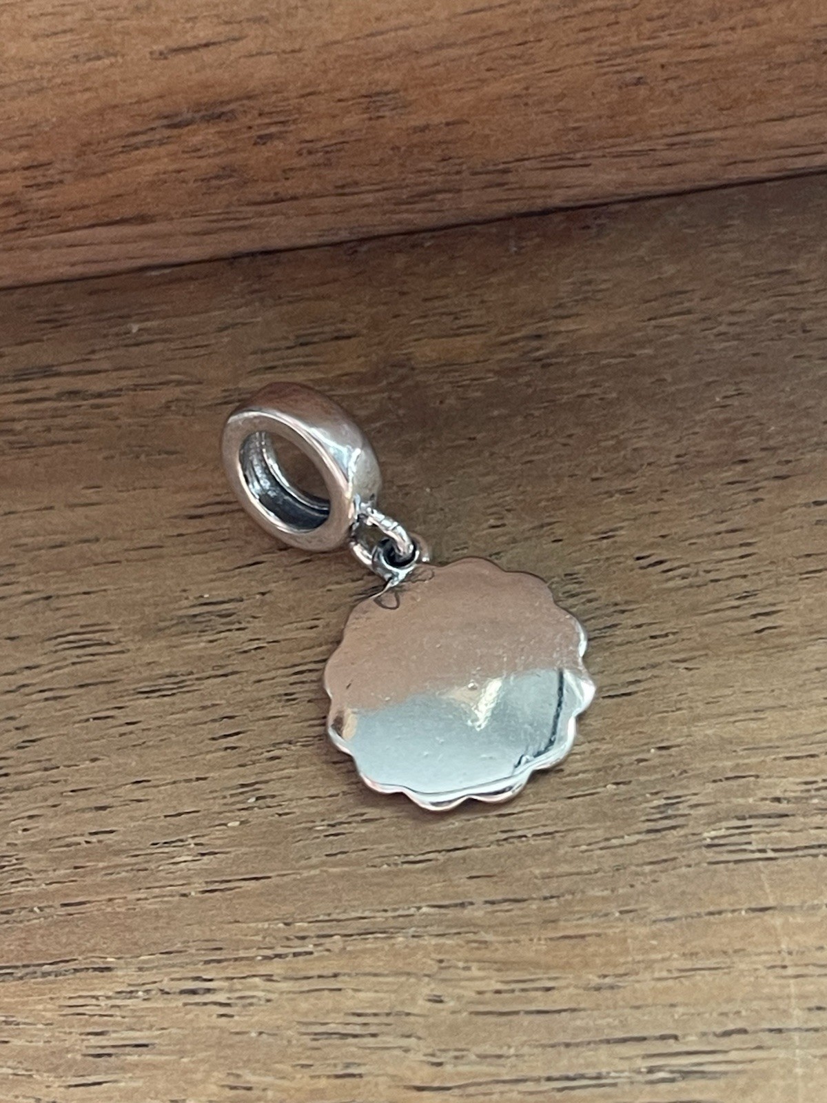 S925 sterling silver Capricorn Zodiac Sing Charm