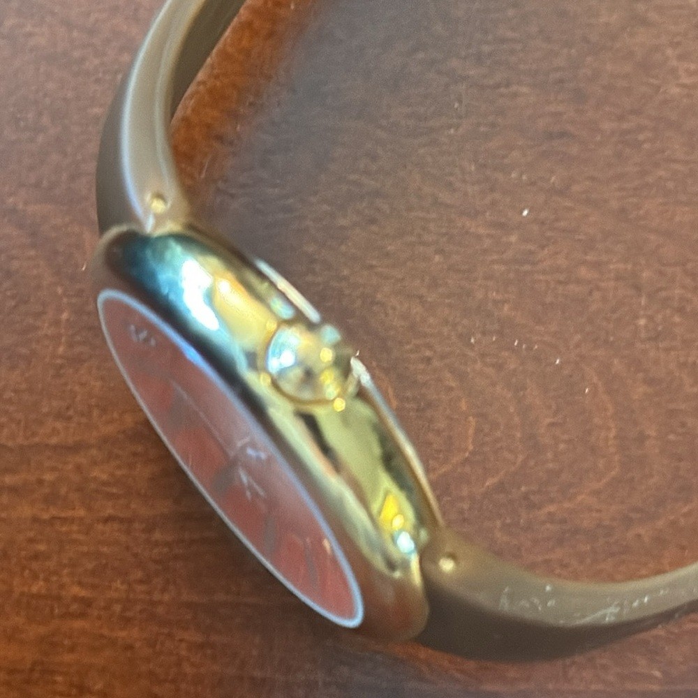 EUC Philip Stein Fruitz watch – blood orange with brown band – natural frequency