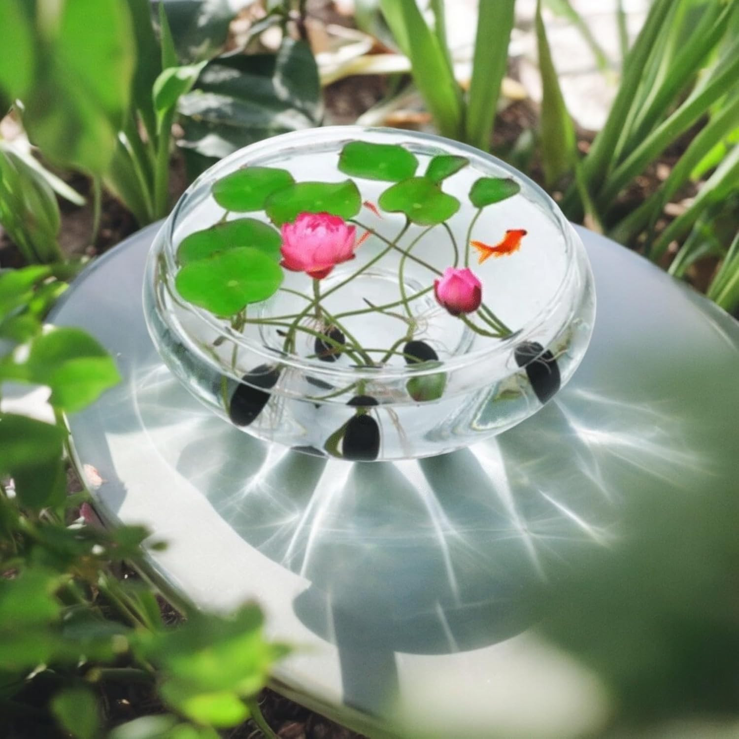 15Pcs Mixed Pink, Red & Green Color Bowl Lotus Seeds for Planting Beautiful Wate
