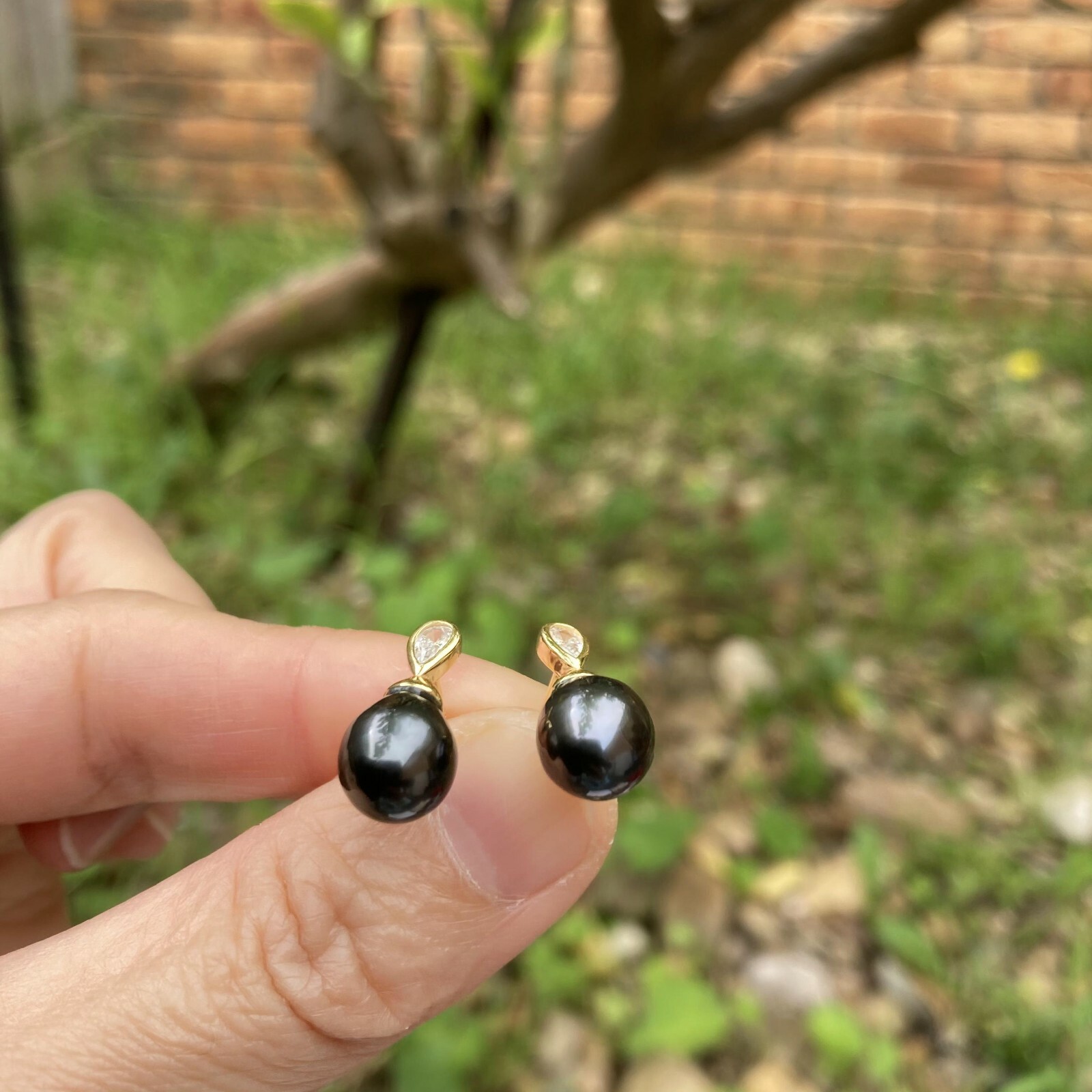 High luster Black Tahitian Pearl sterling Silver S925 Gold Earring stud TH185