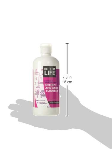 Better Life Sink Cleaner, Stainless Steel 16 Ounce (Pack of 1)